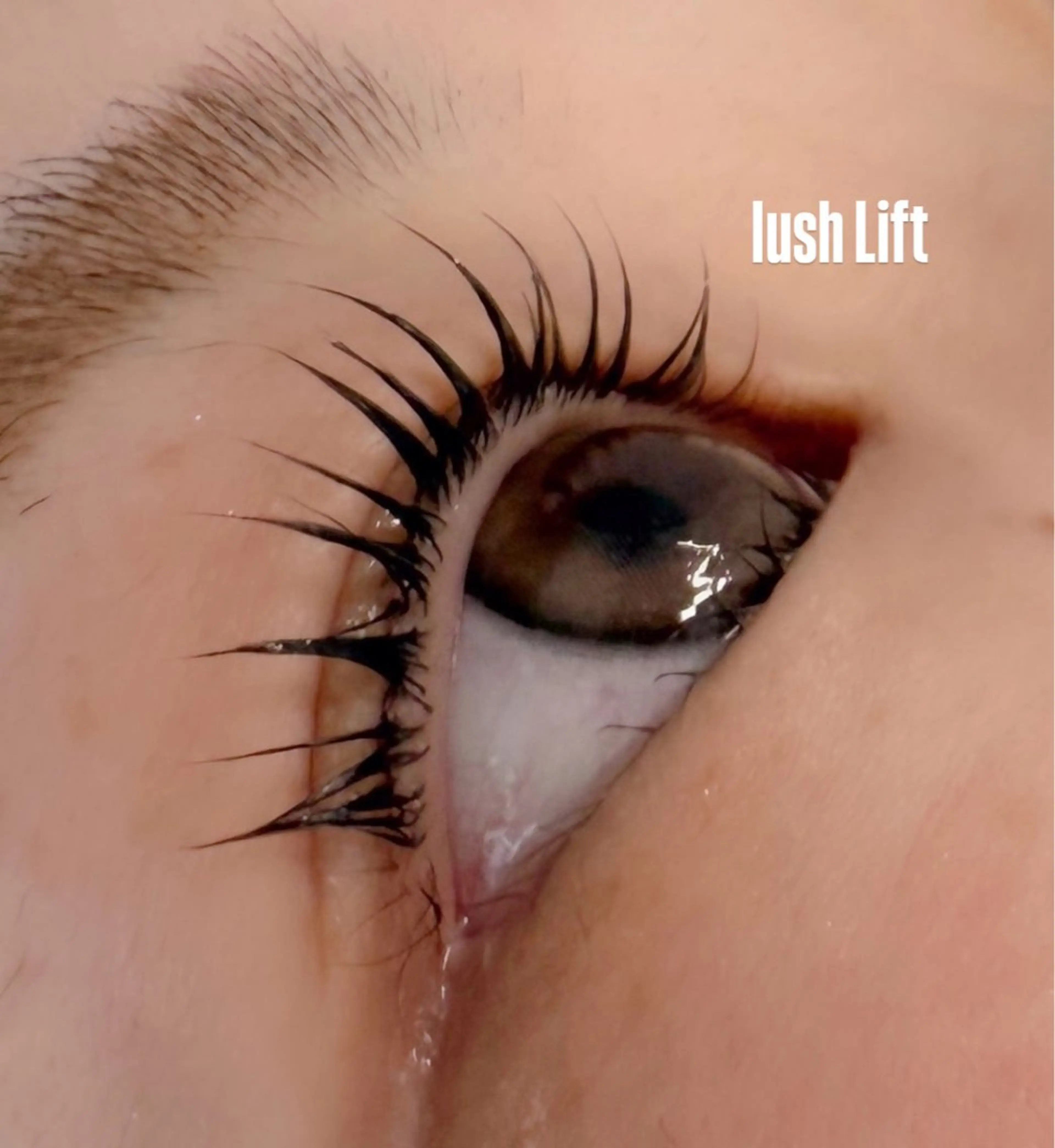 マツエク・マツパ Shucre名駅👀 美玲👑のマツエク・マツパデザイン