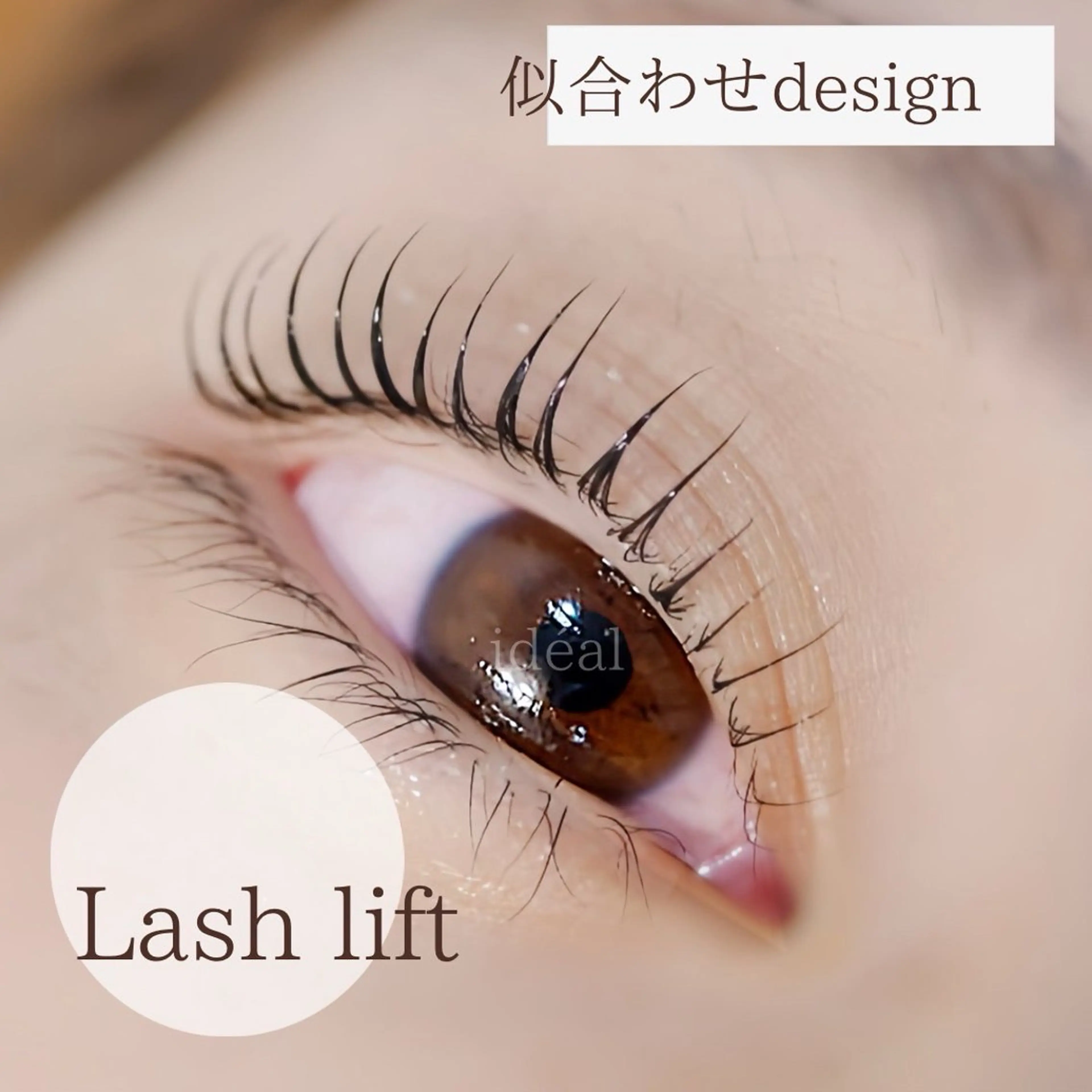 マツエク・マツパ 一重×まつ毛パーマ まつげ&アイブロウサロン ideal所属・ideal大宮 新井のマツエク・マツパデザイン