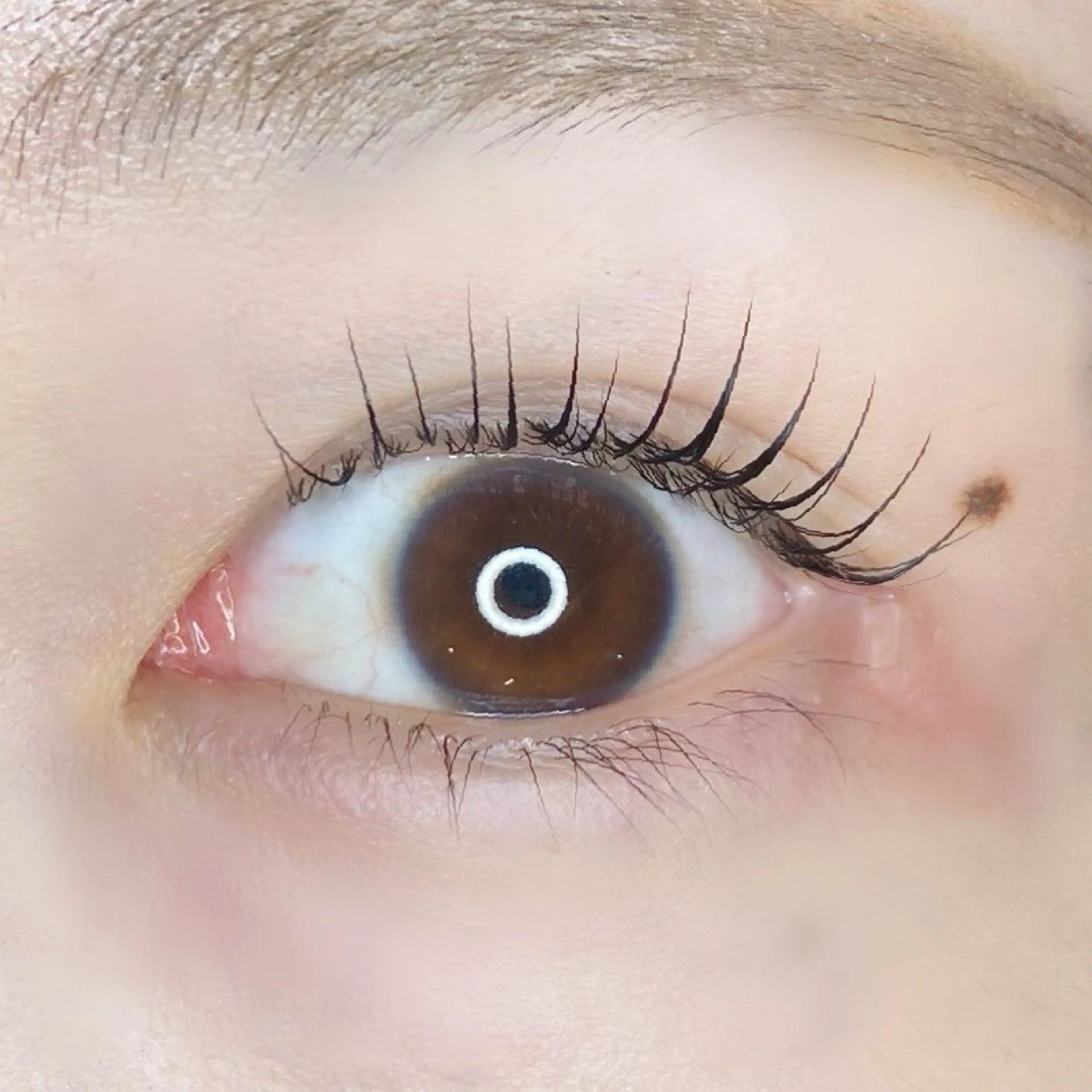 マツエク・マツパ Isogai 𓏸𓍯﻿のマツエク・マツパデザイン