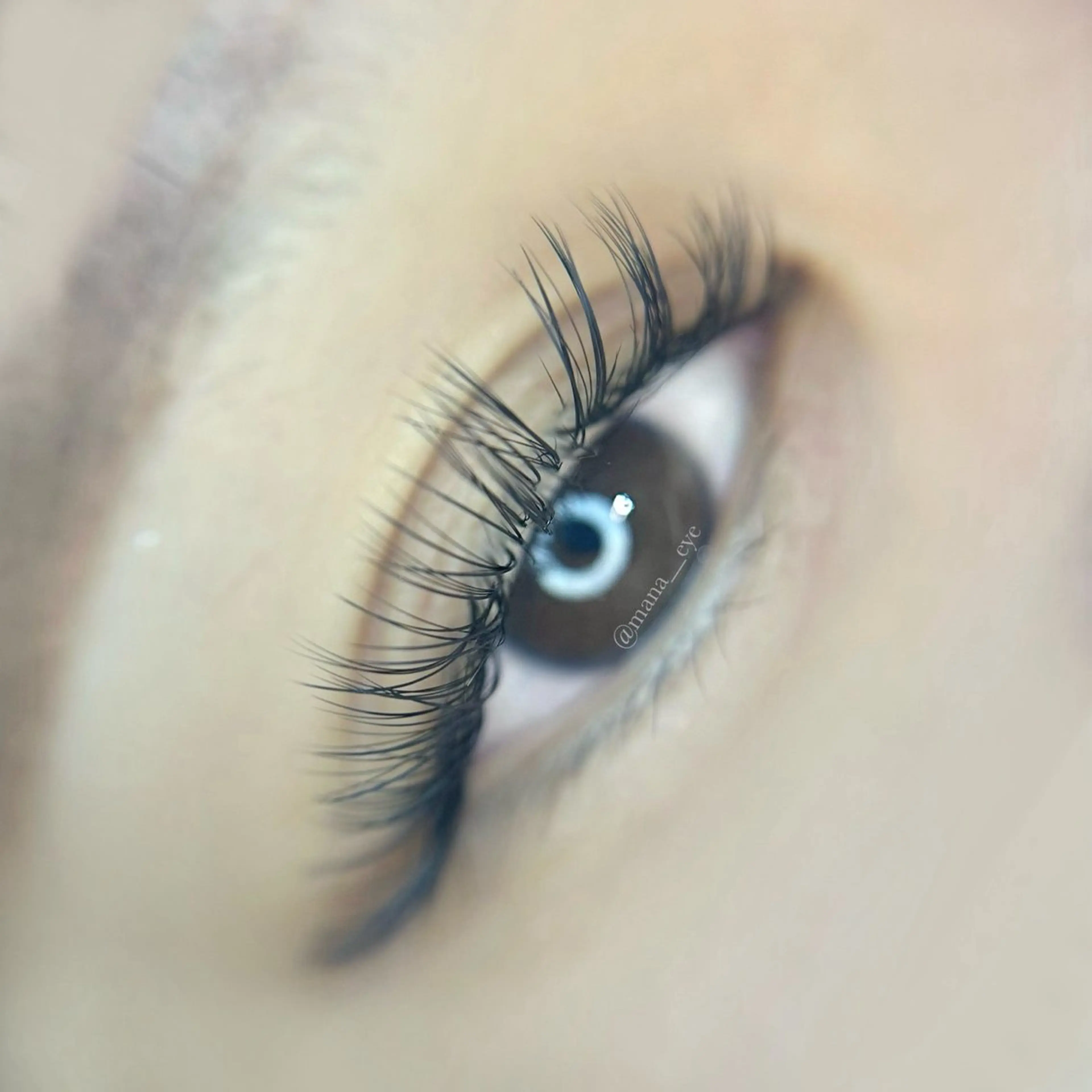 【オフあり】ダブルラッシュorバインドロック120束まで🦩¥9000の写真