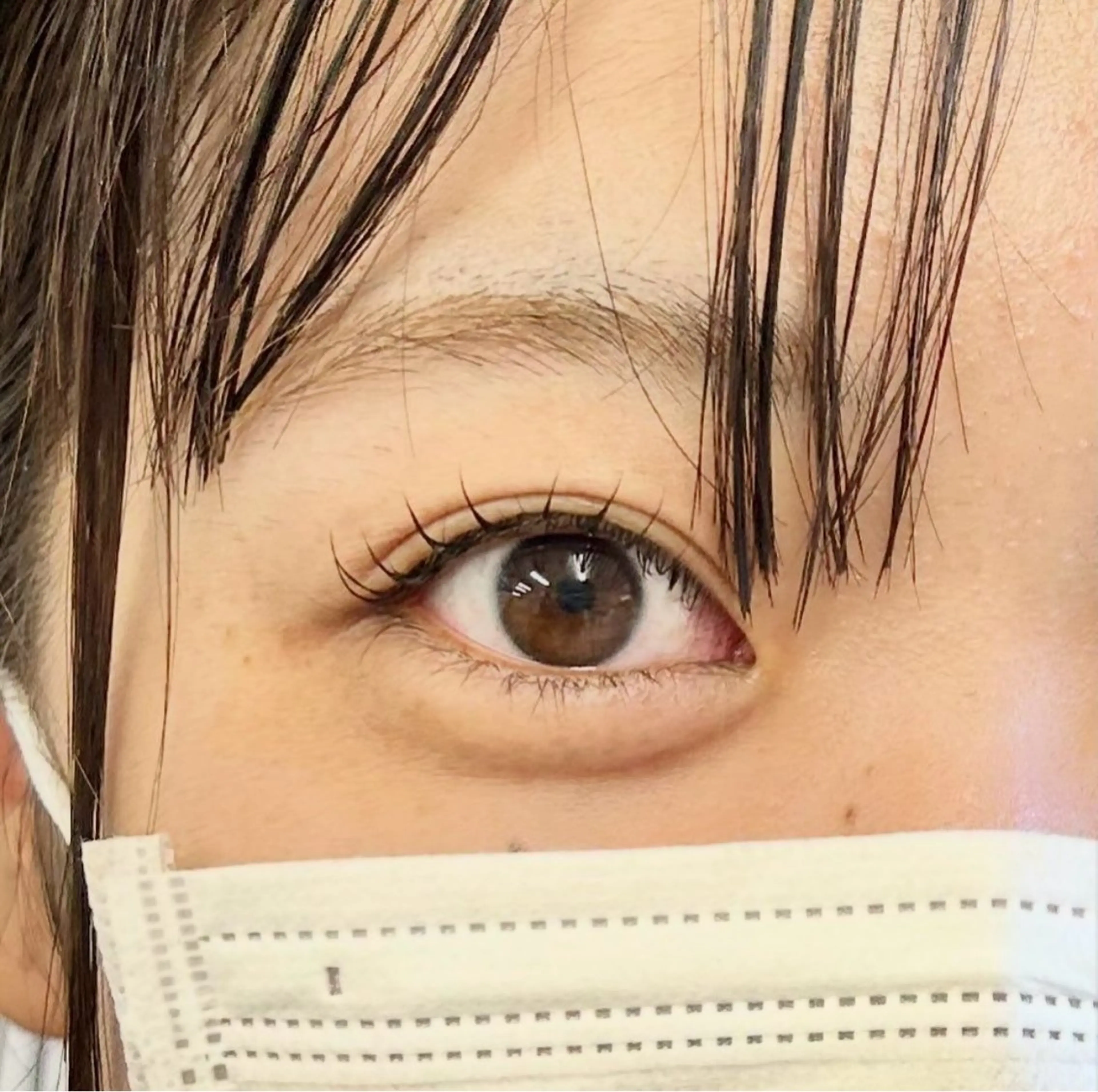 まつ毛カール(上のみ)の写真