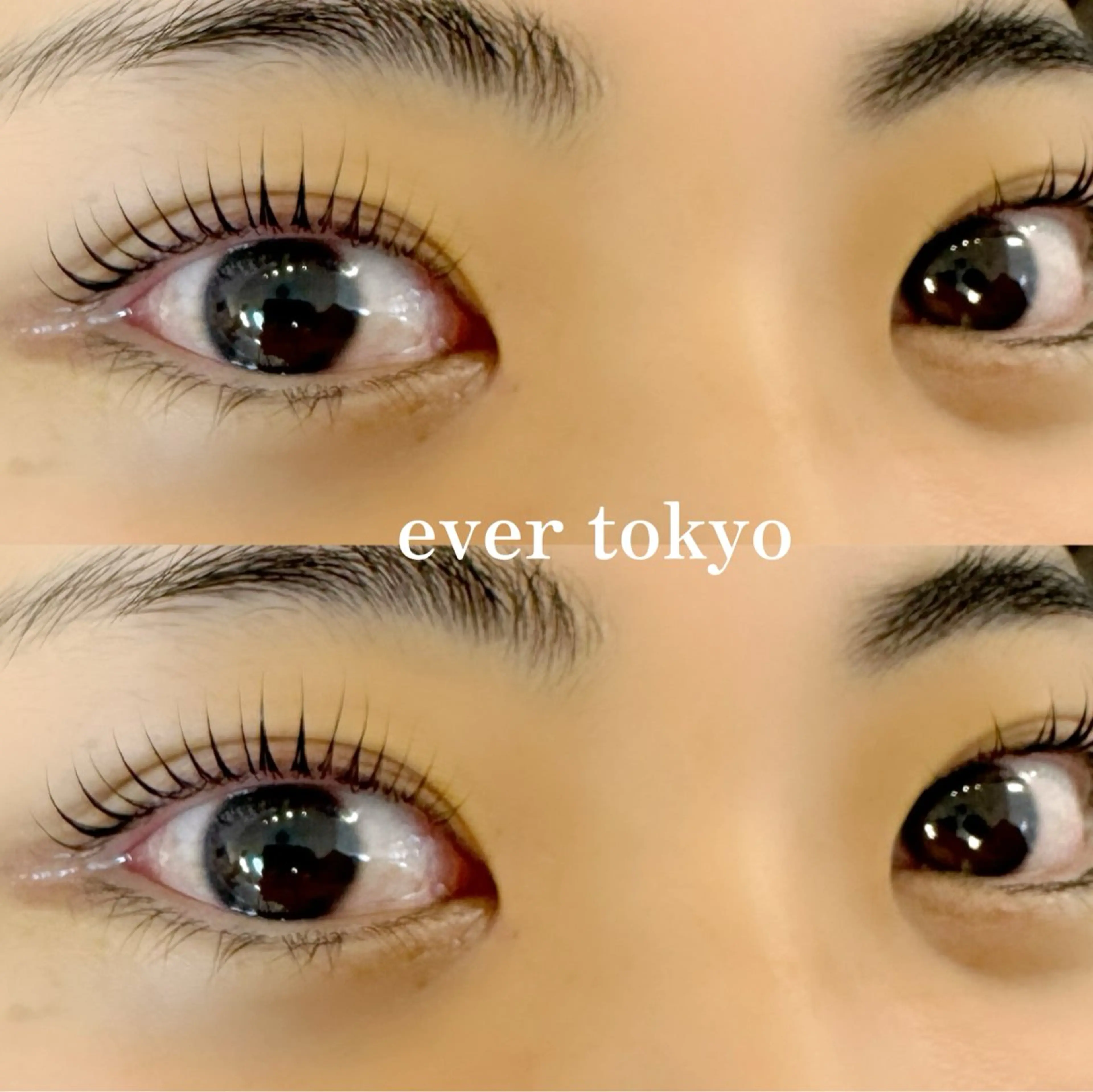 マツエク・マツパ Dカール alicetokyo 天神店のマツエク・マツパデザイン