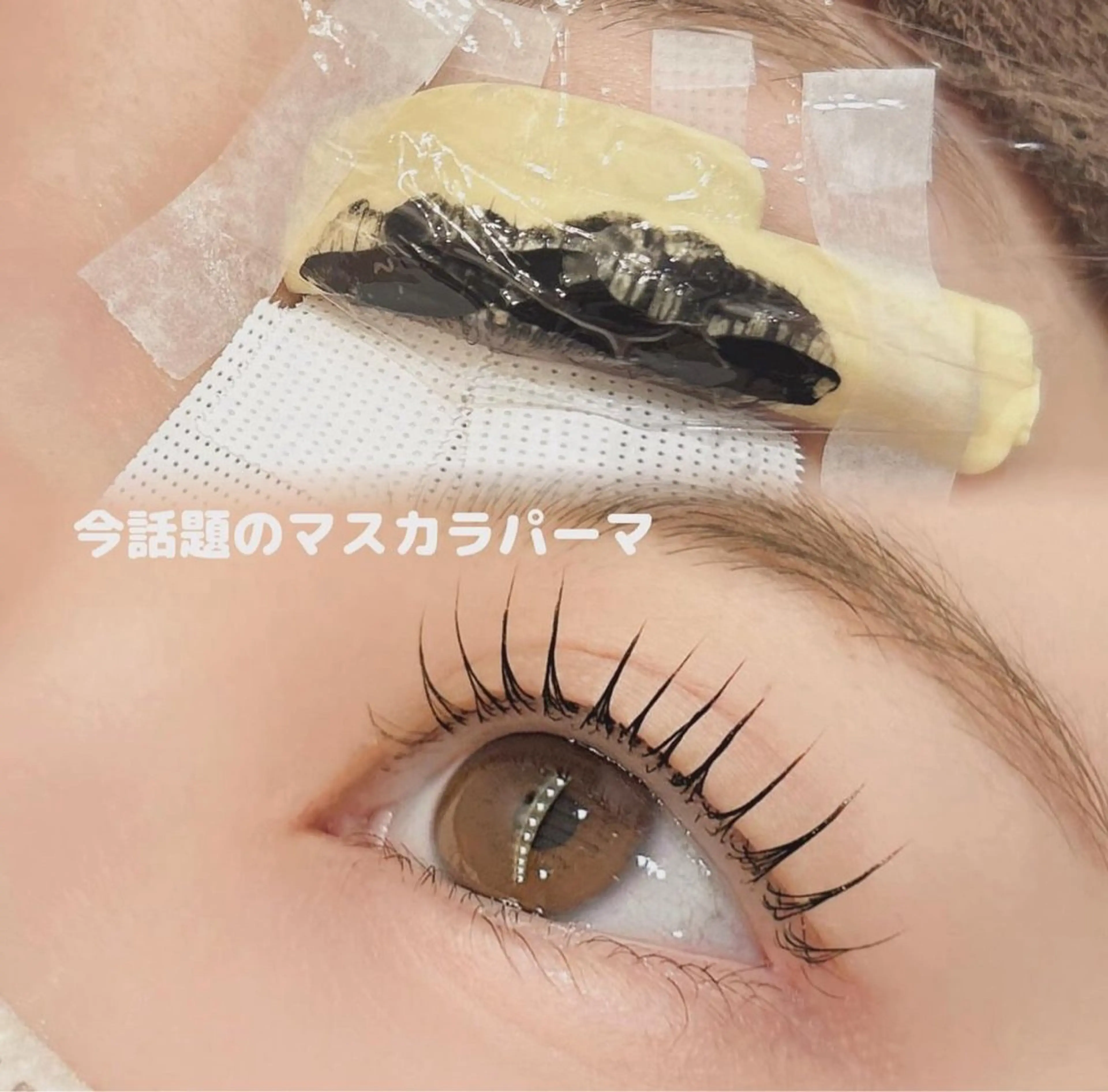 話題の【マスカラパーマ】の写真