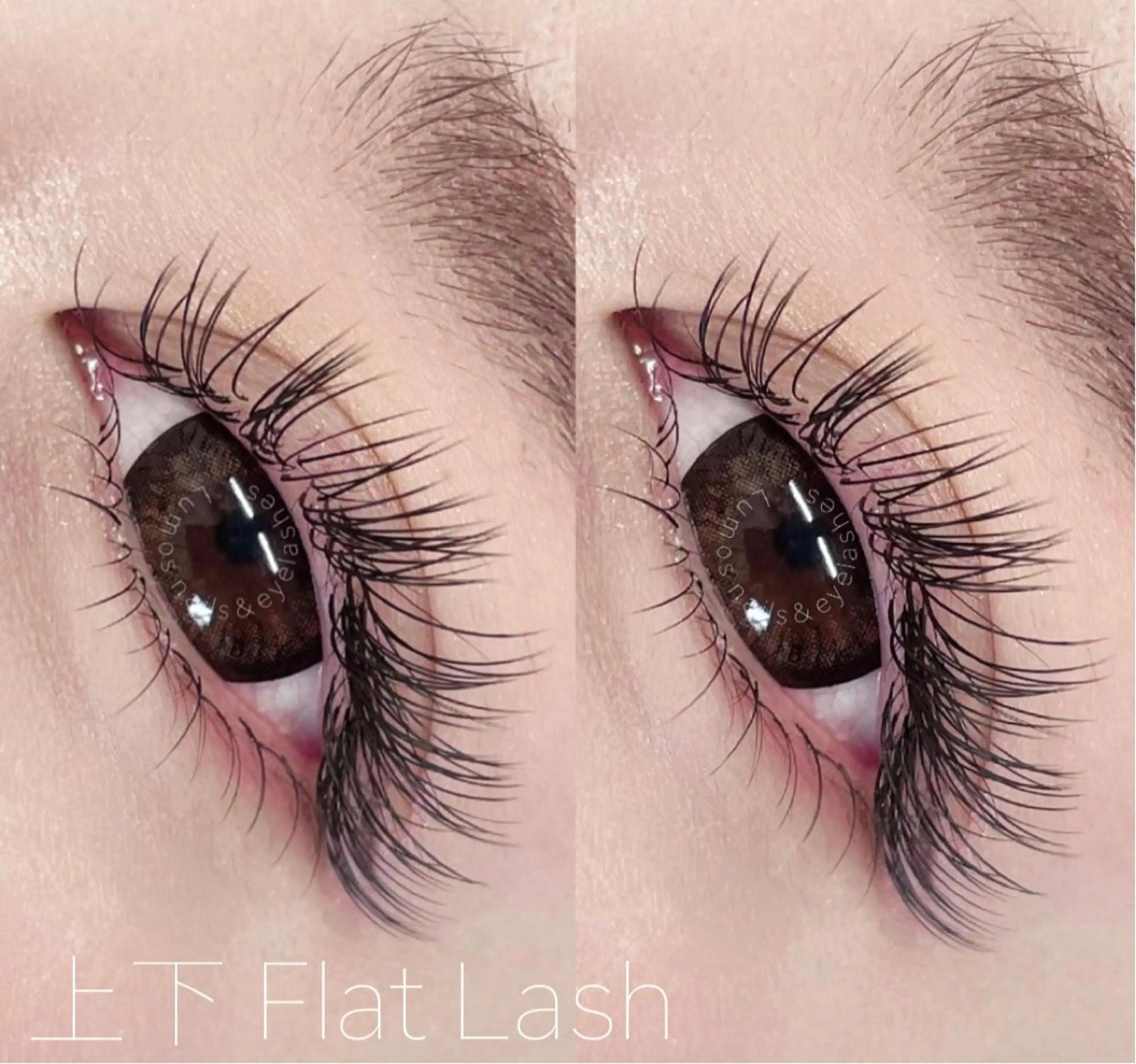 マツエク・マツパ フラットラッシュ Lumos nail&eyelash所属・Lumos Ayakaのマツエク・マツパデザイン