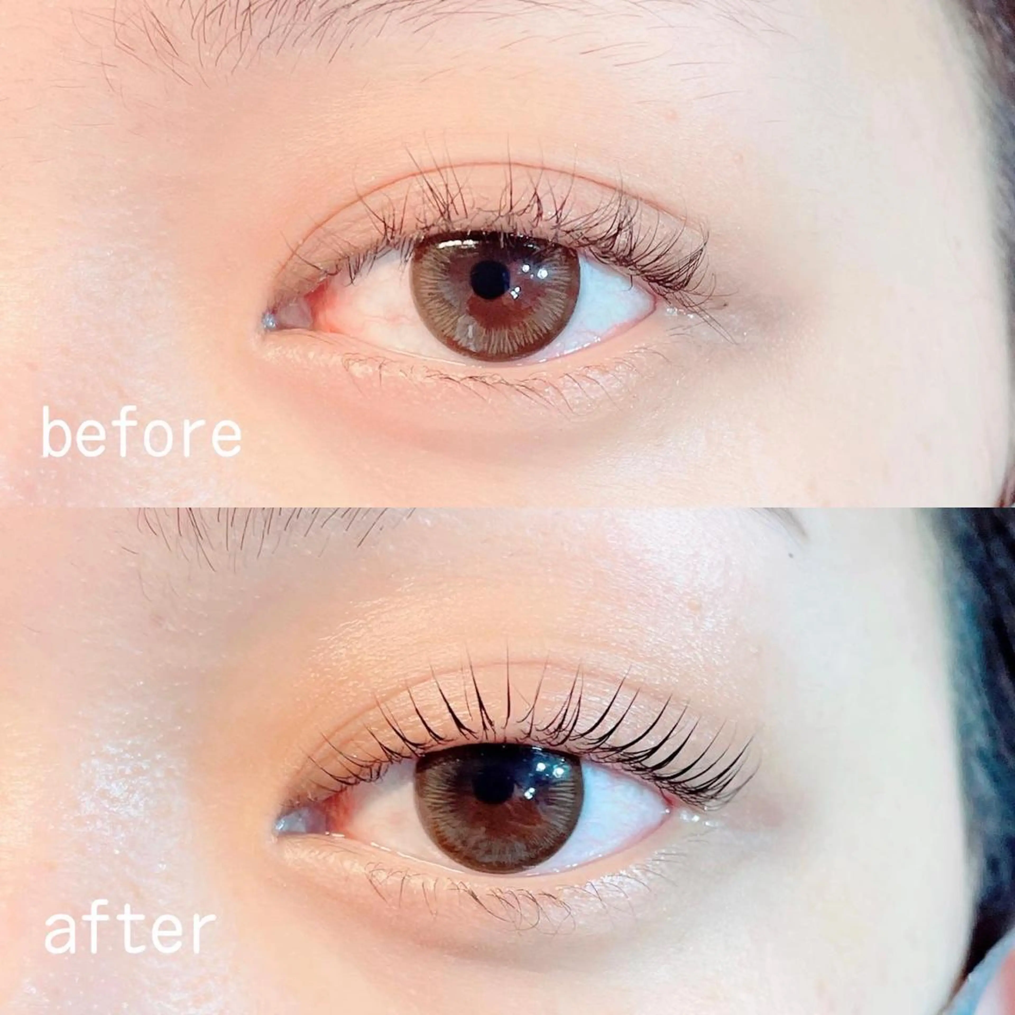 マツエク・マツパ カラーマツエク フラットラッシュ パリジェンヌラッシュリフト まつげパーマ ボリュームラッシュ Mori ✨Mystical✨のマツエク・マツパデザイン