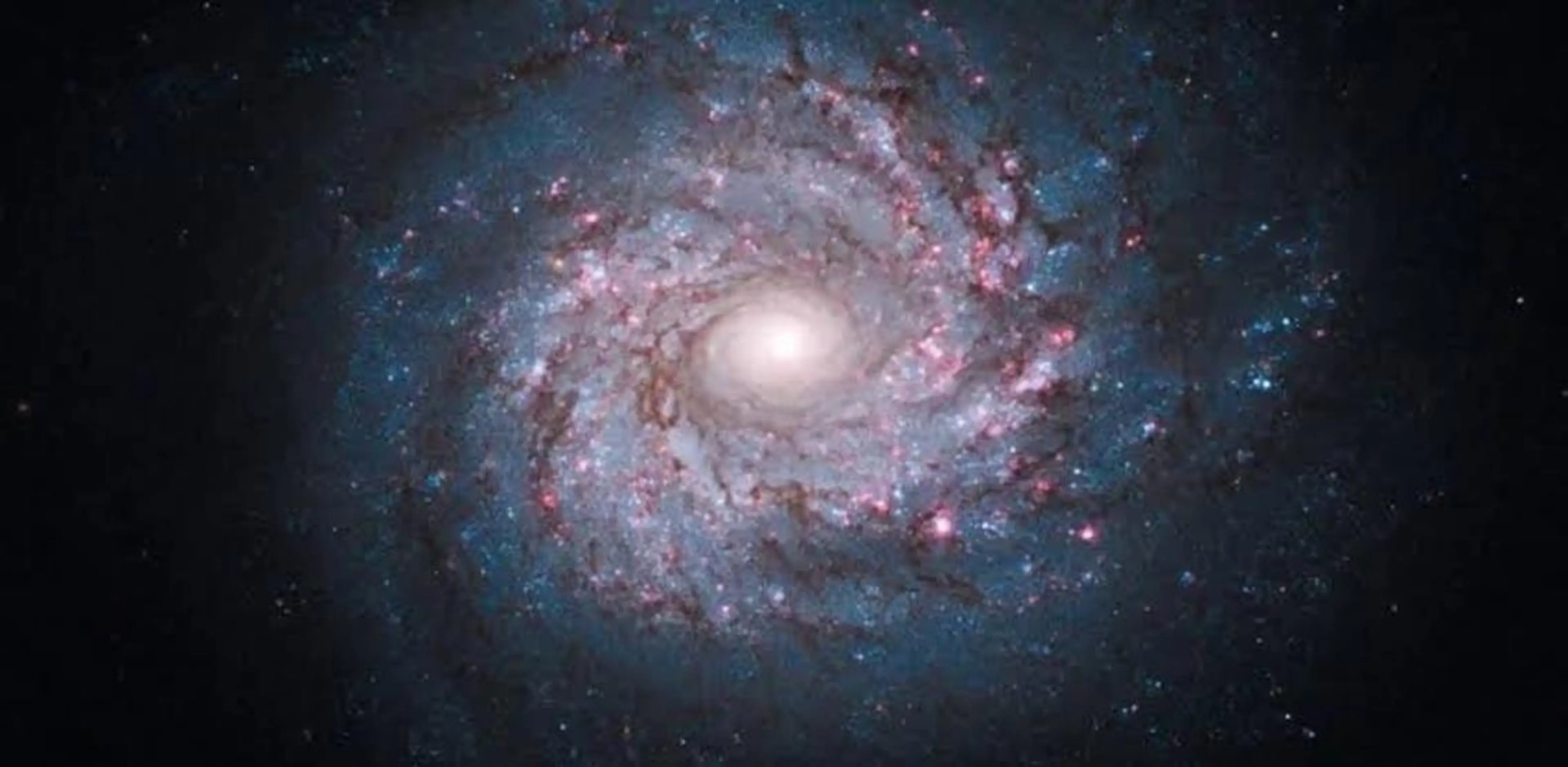 🍀全身ケア60分コース🍀(足ツボも時間内可能)の写真