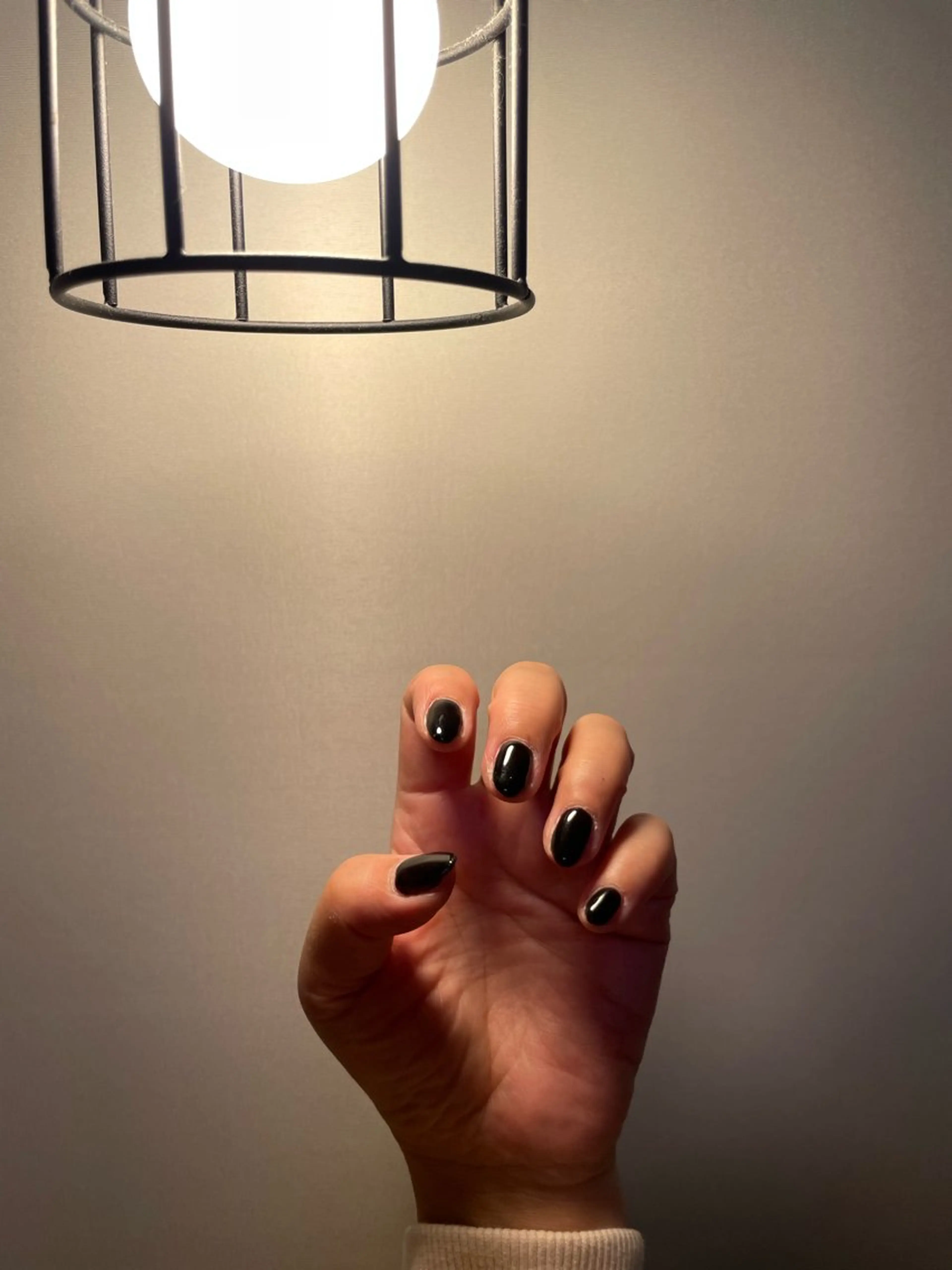 オフなしワンカラーの写真