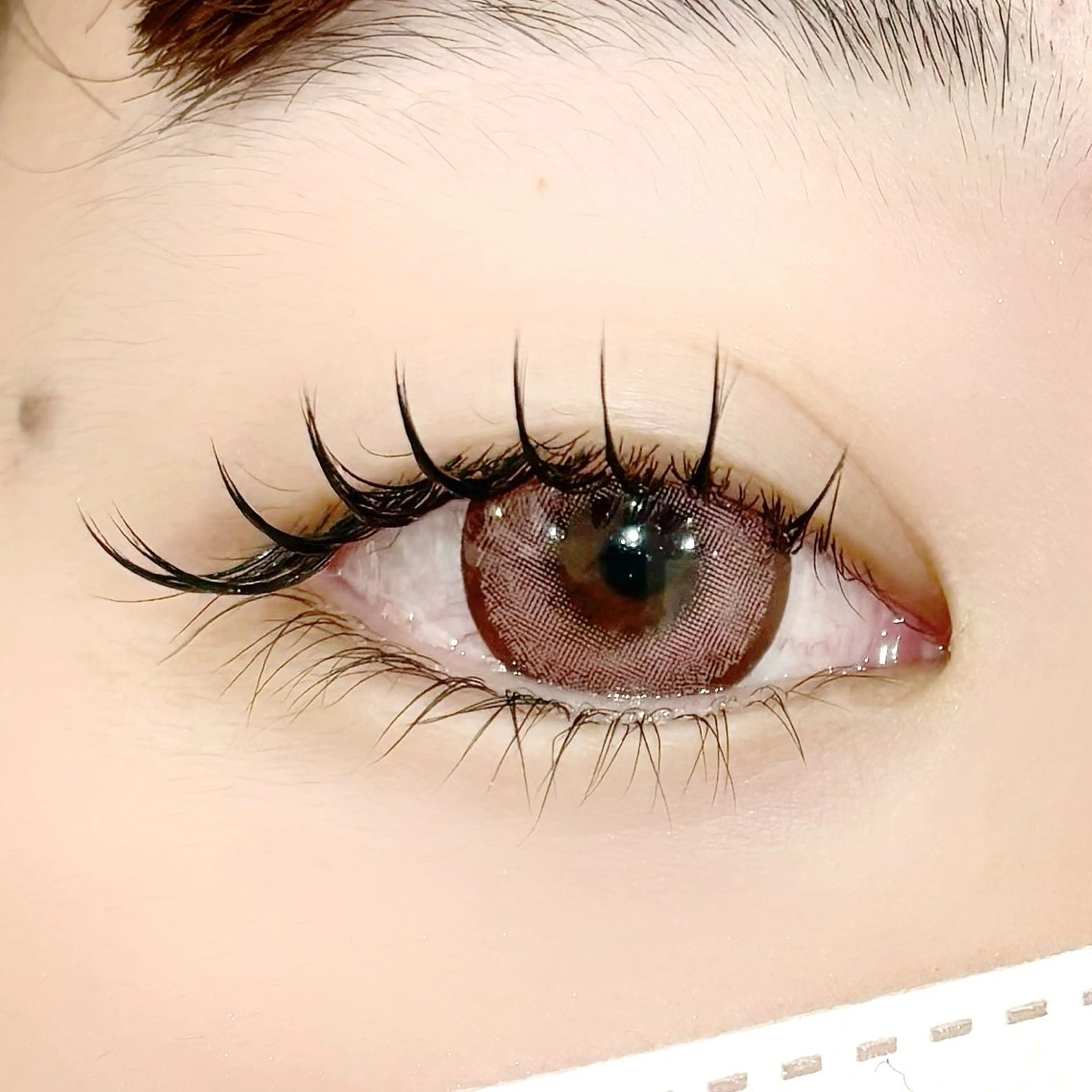 マツエク・マツパ マツエク 藤原 みやびのヘアスタイル