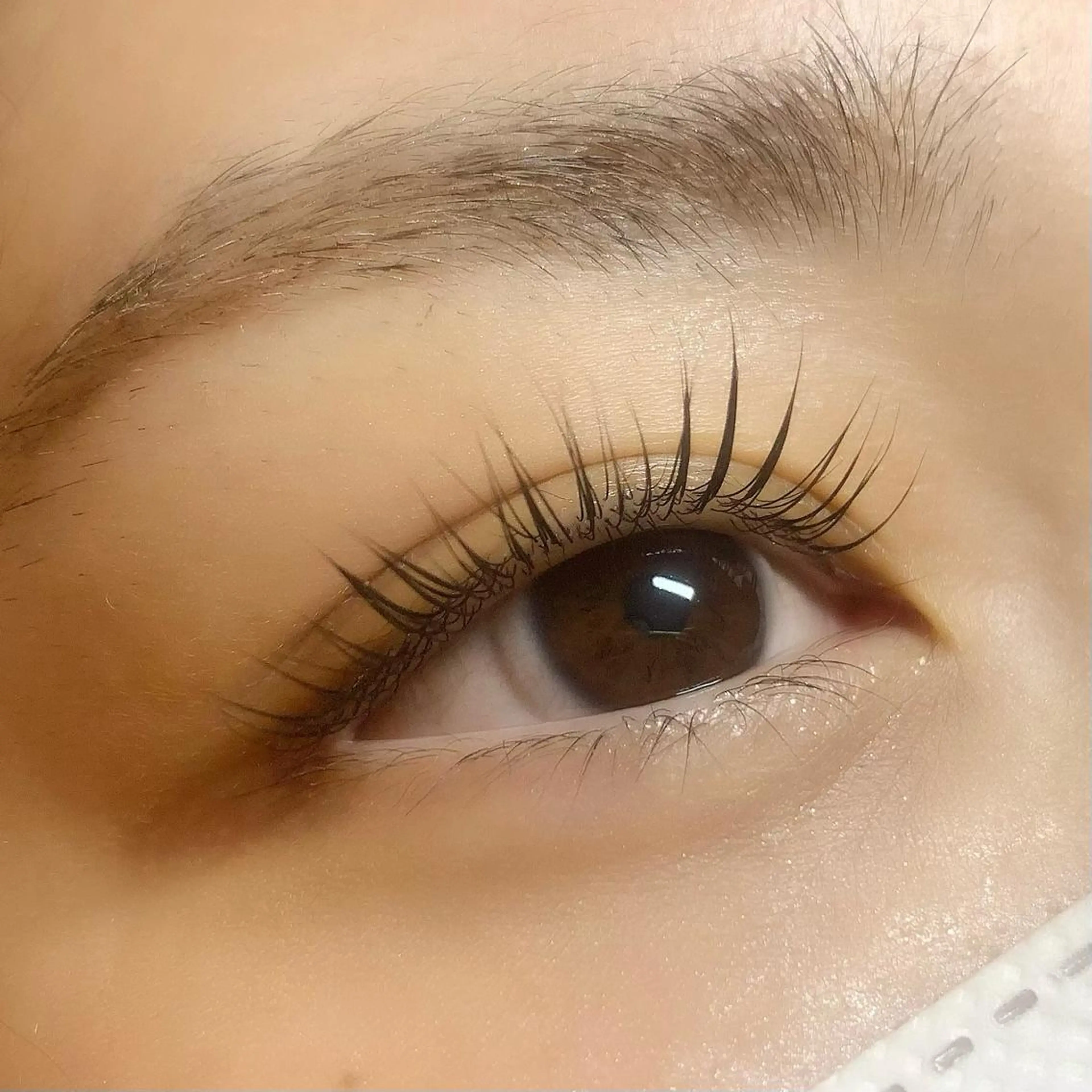 マツエク・マツパ パリジェンヌラッシュリフト Celeste Venus所属・🧸Celeste Venusのマツエク・マツパデザイン