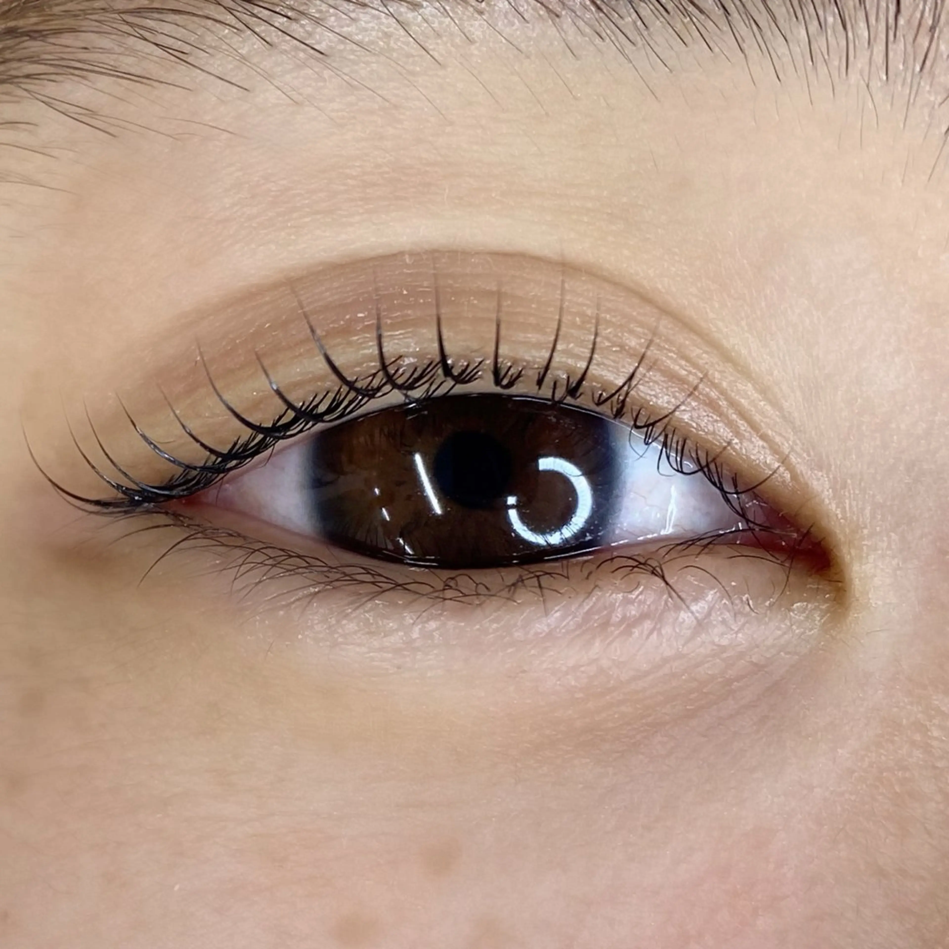 マツエク・マツパ まつげパーマ セクシー 一重×まつ毛パーマ マツパ U too e's MANAE🌼の眉毛・アイブロウイメージ