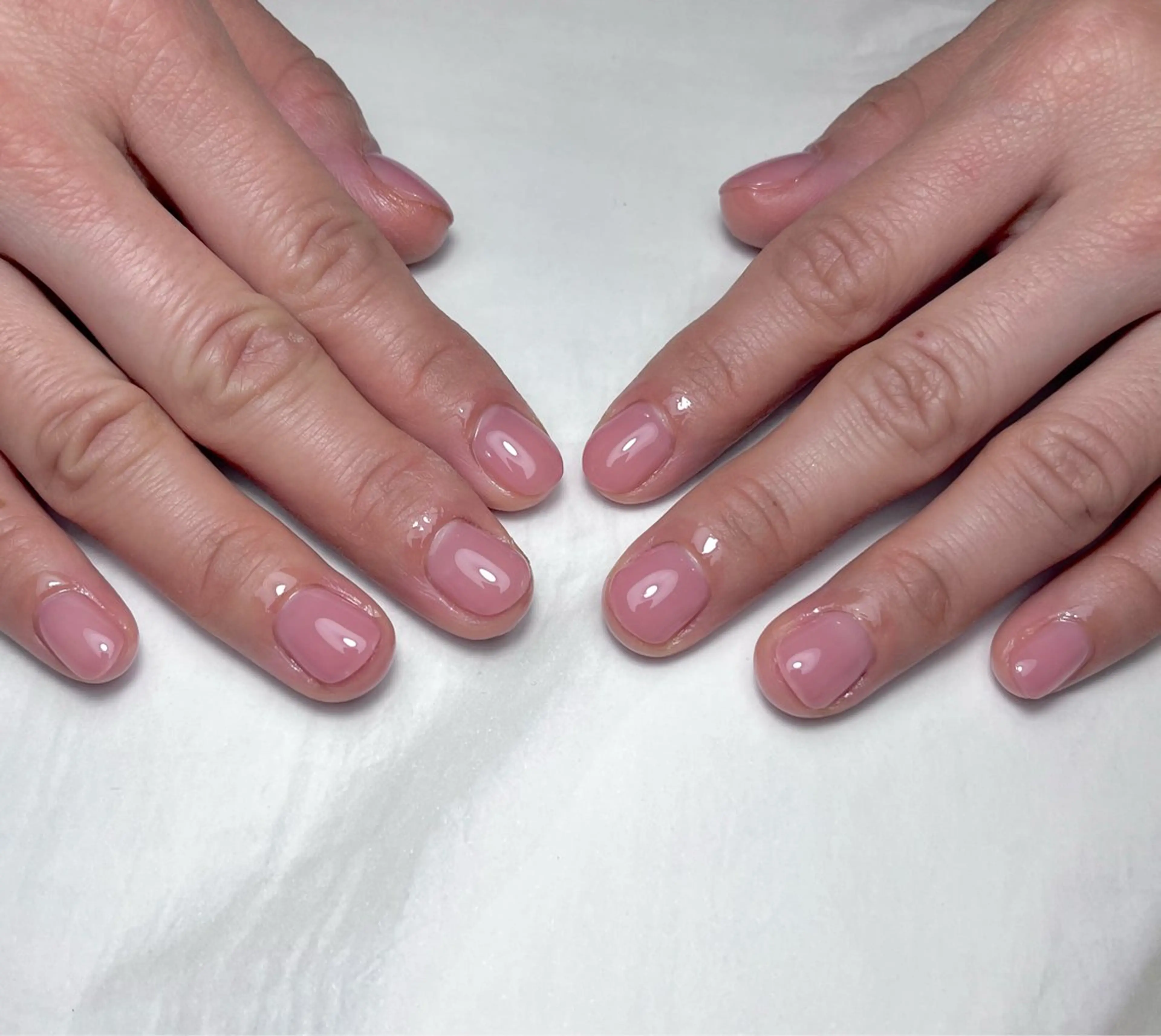 ワンカラーの写真