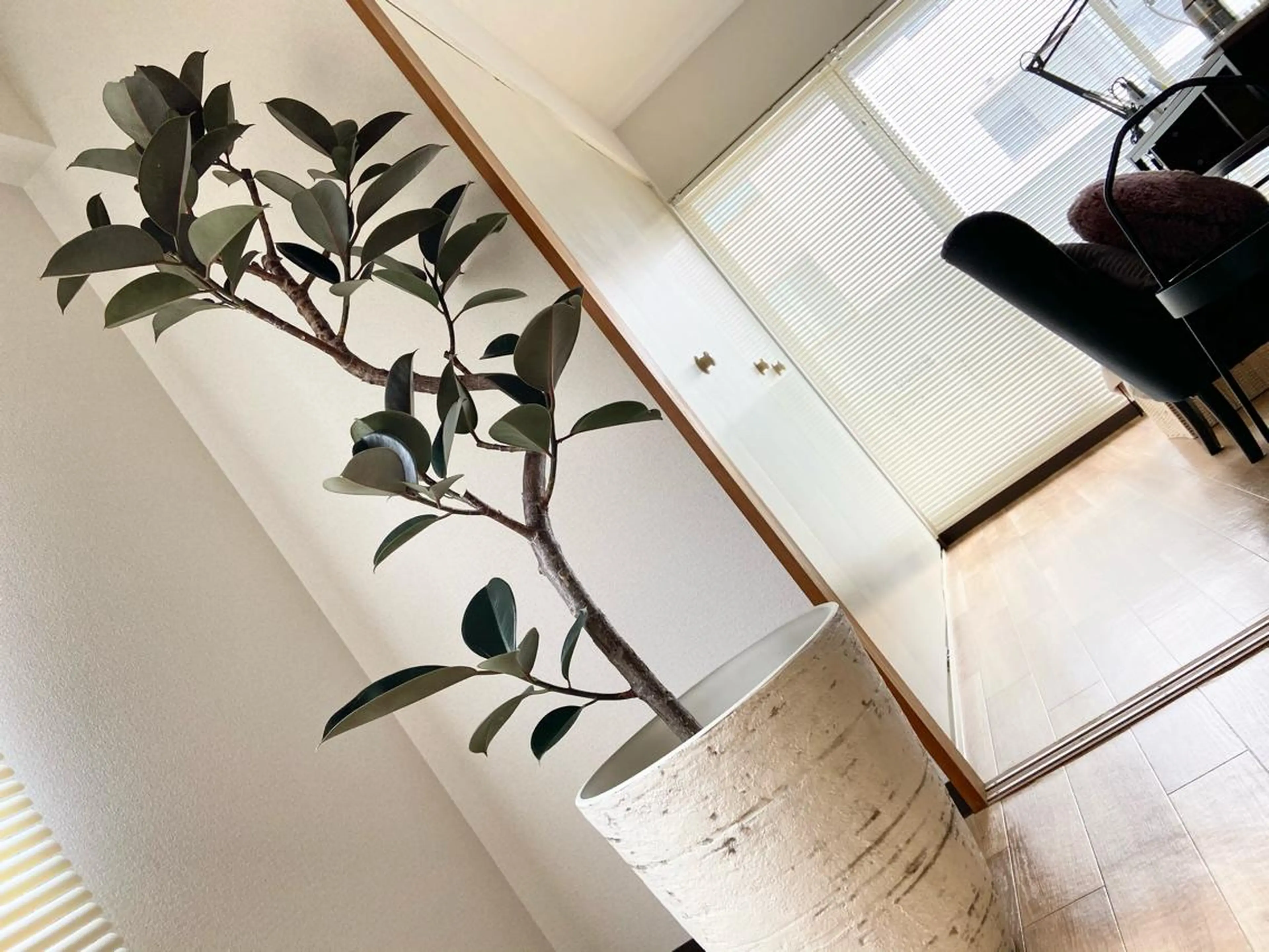 ネイル TeaL nailのネイルデザイン