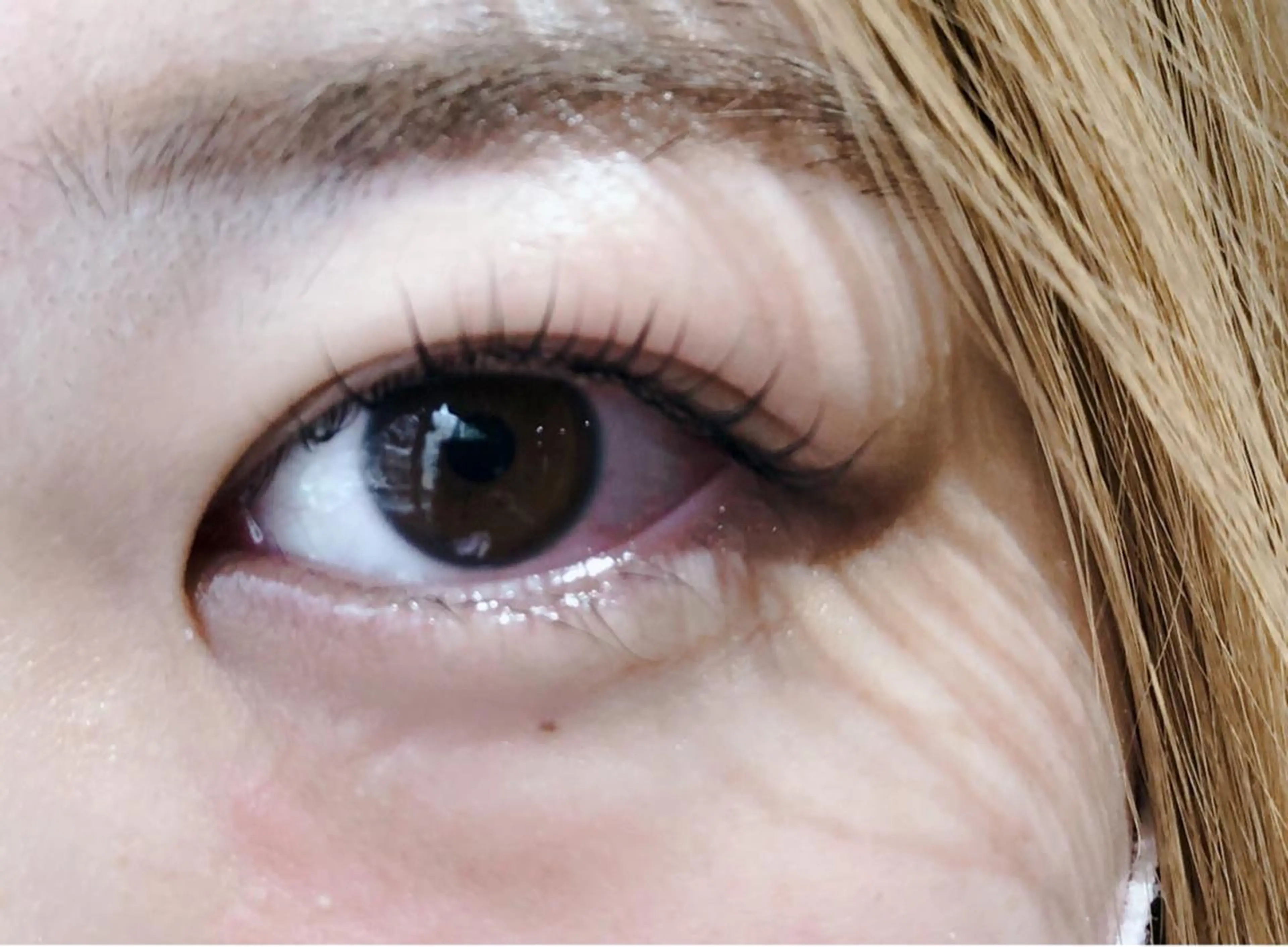 マツエク・マツパ バービーラッシュリフト franfika 川又のマツエク・マツパデザイン