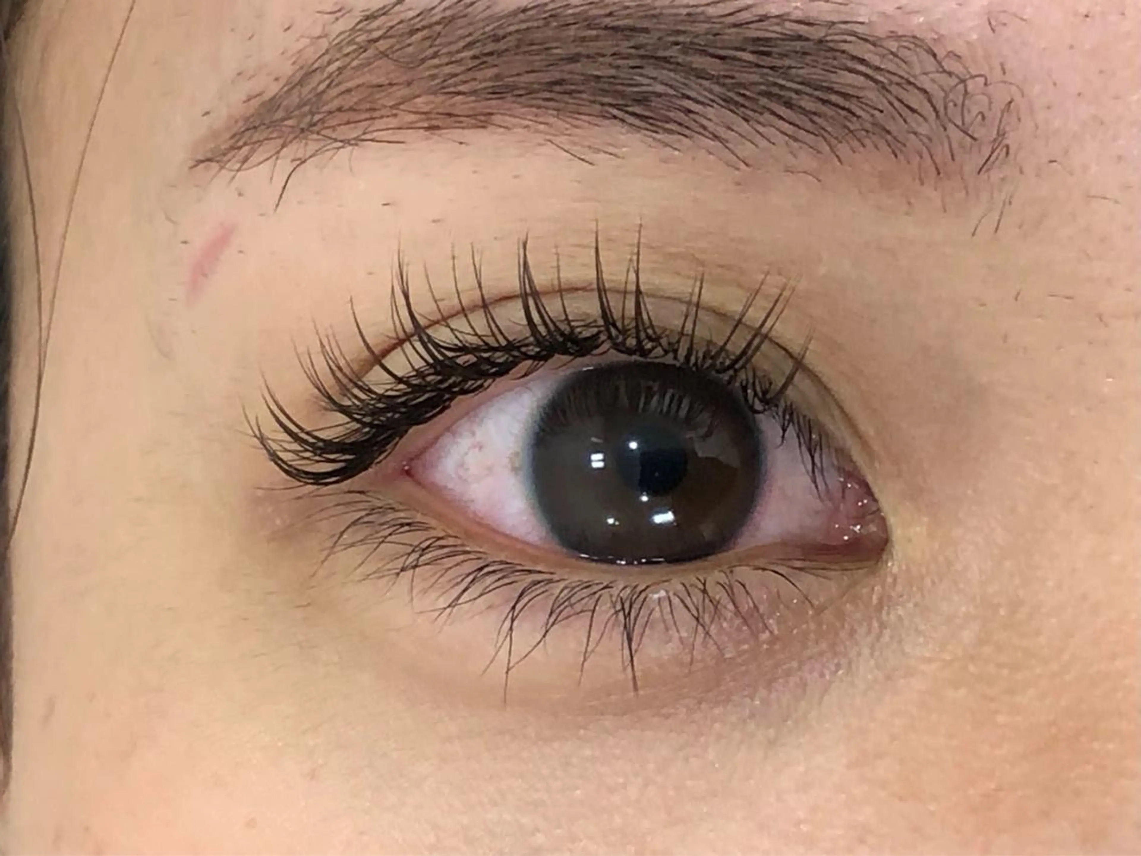 マツエク・マツパ ミンク MAQUIA新越谷店  今成のマツエク・マツパデザイン