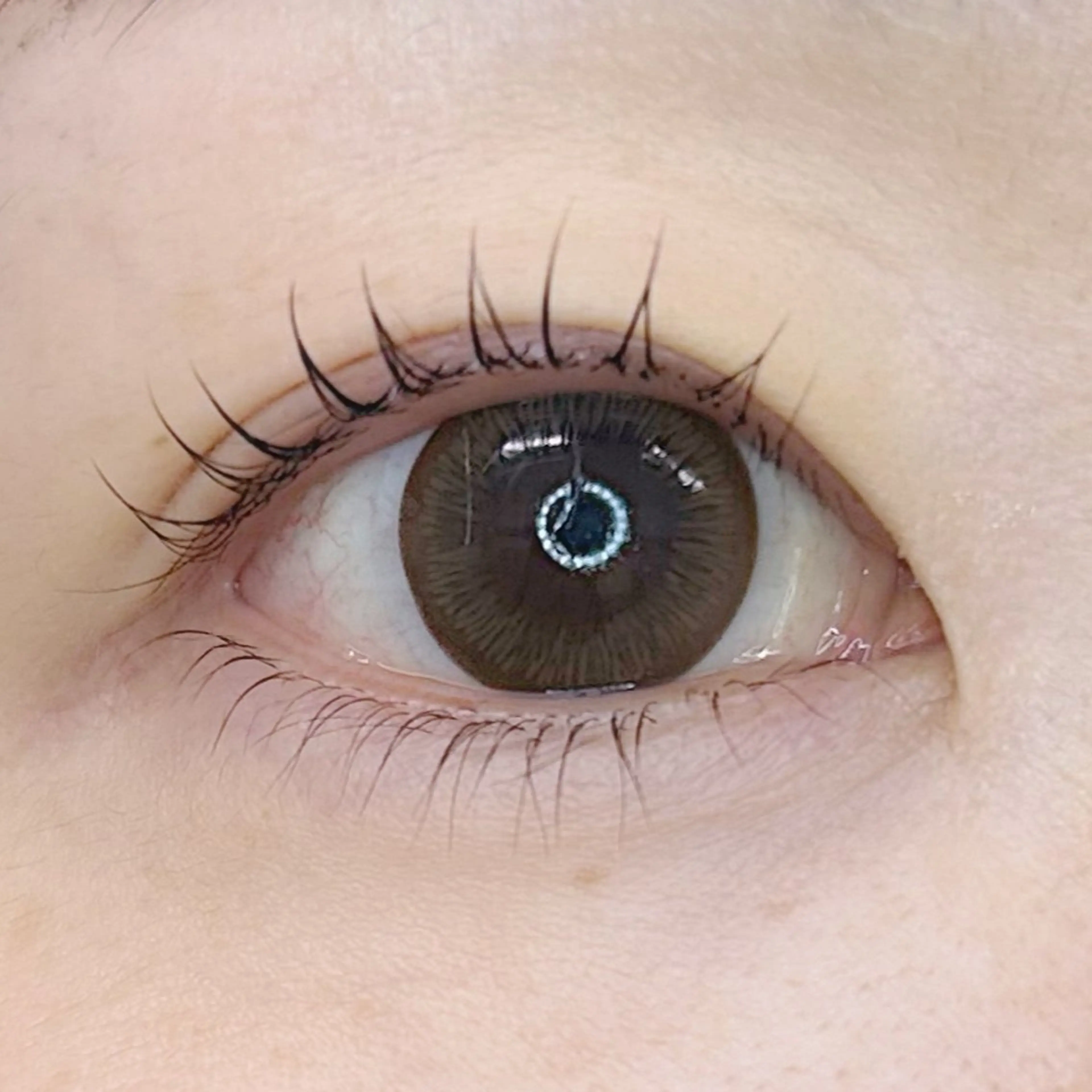 マツエク・マツパ 一重×まつ毛パーマ マツパ LazTOKYO YUKAKOの眉毛・アイブロウイメージ