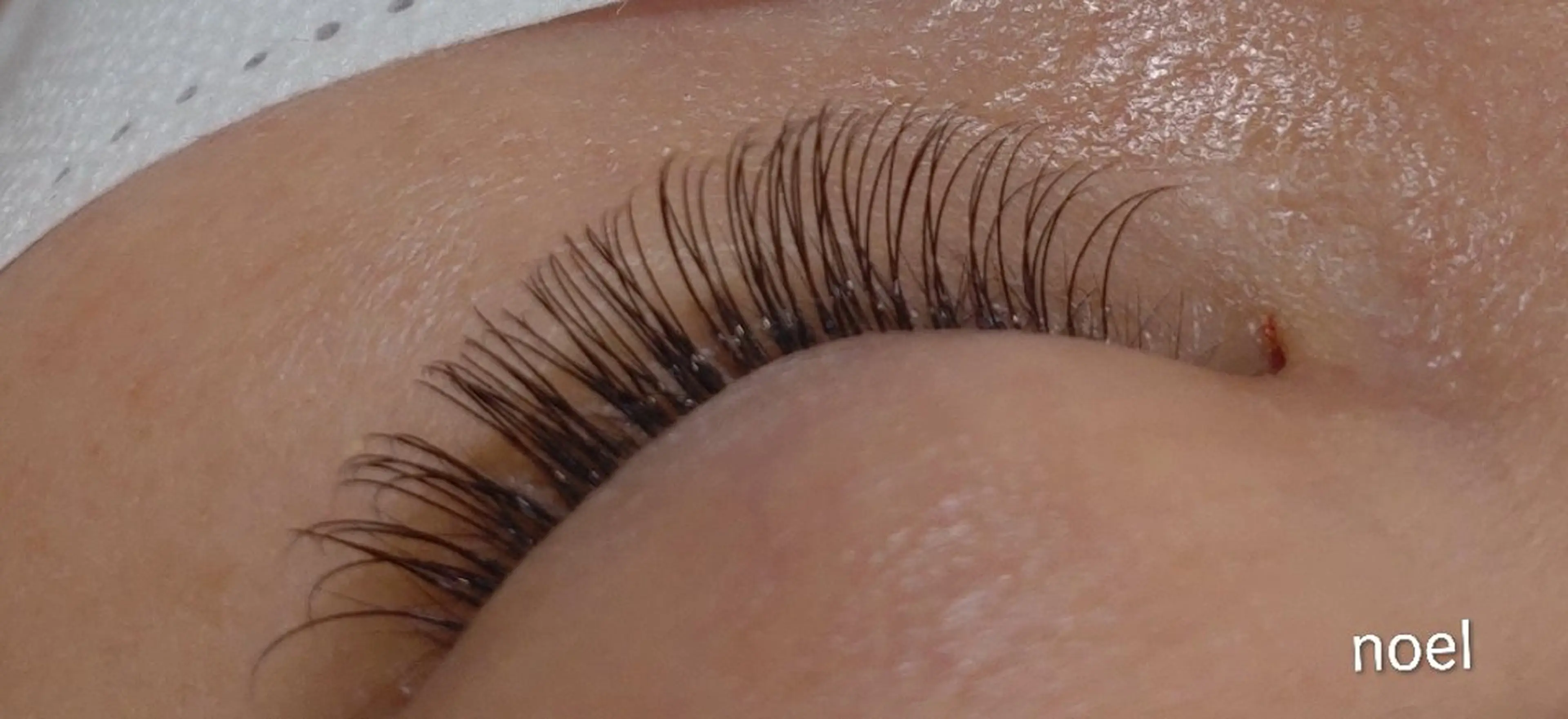 💞最軽量💞フラットラッシュ/150本/束感仕上げ/オフ込/アイシャンプーの写真