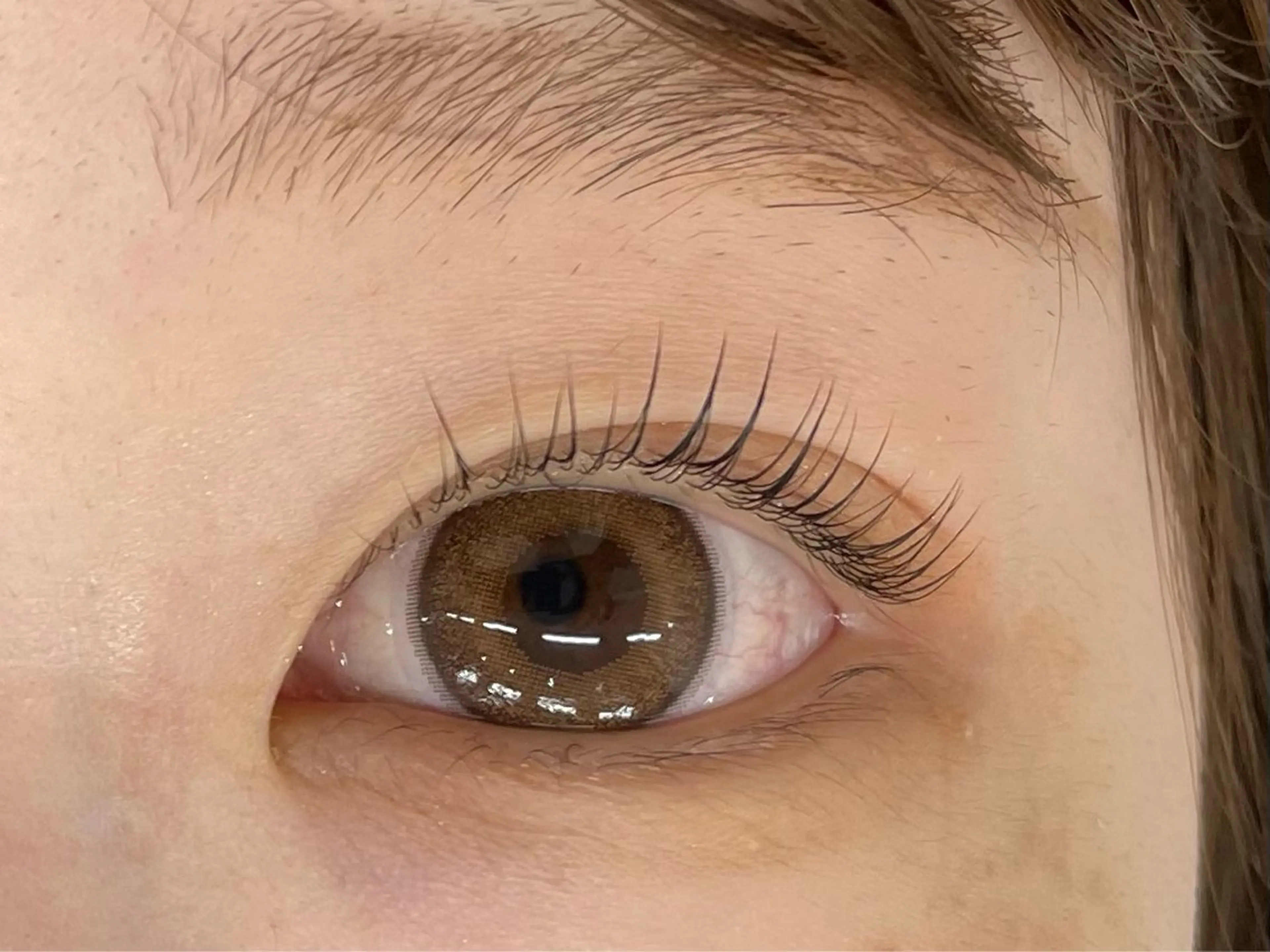 マツエク・マツパ マツパ マリーテレジア 🪻YUKAのマツエク・マツパデザイン