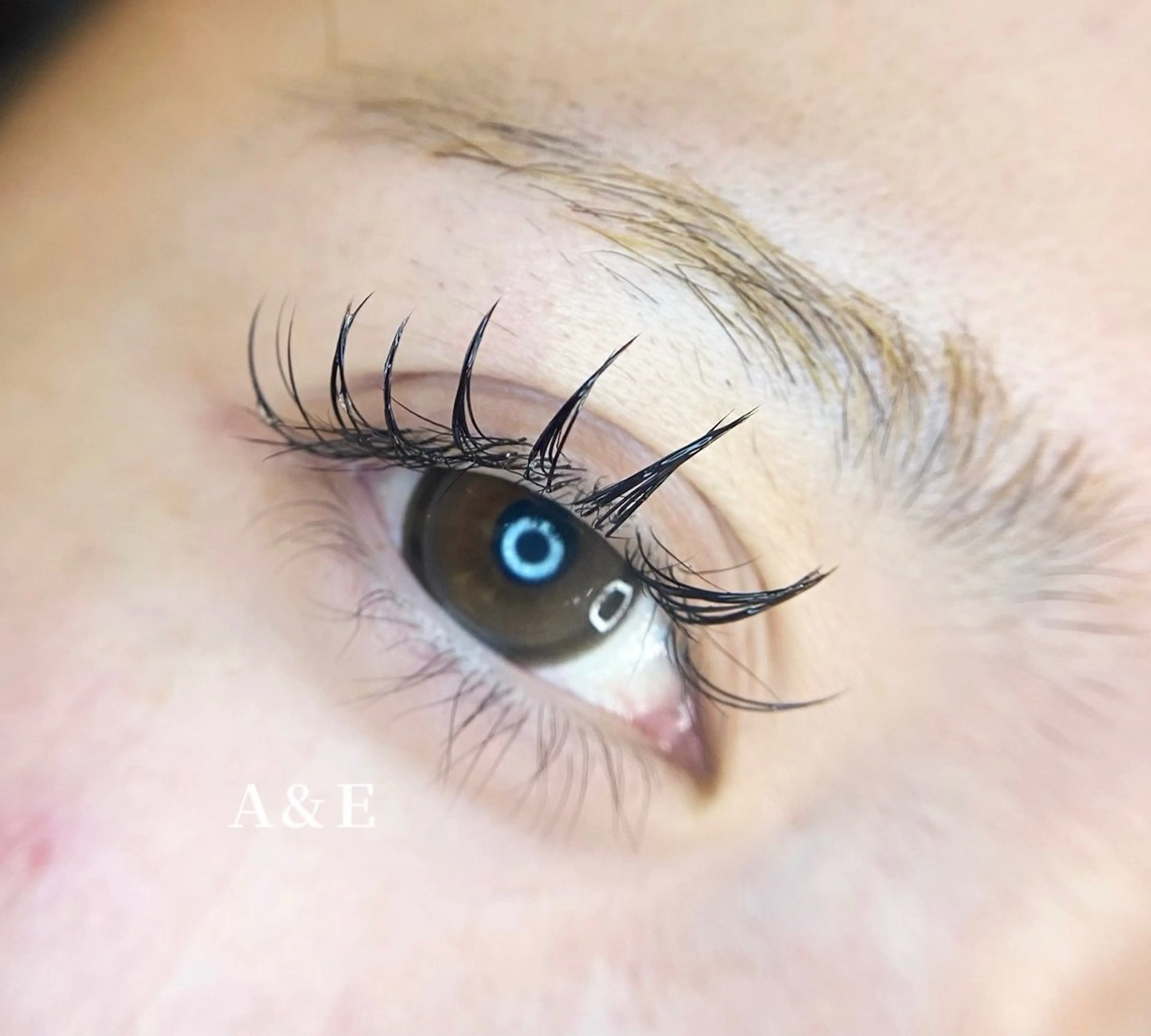 マツエク・マツパ フラットラッシュ Ａ&Ｅ所属・西岡 /マツエク/束感🎀のマツエク・マツパデザイン