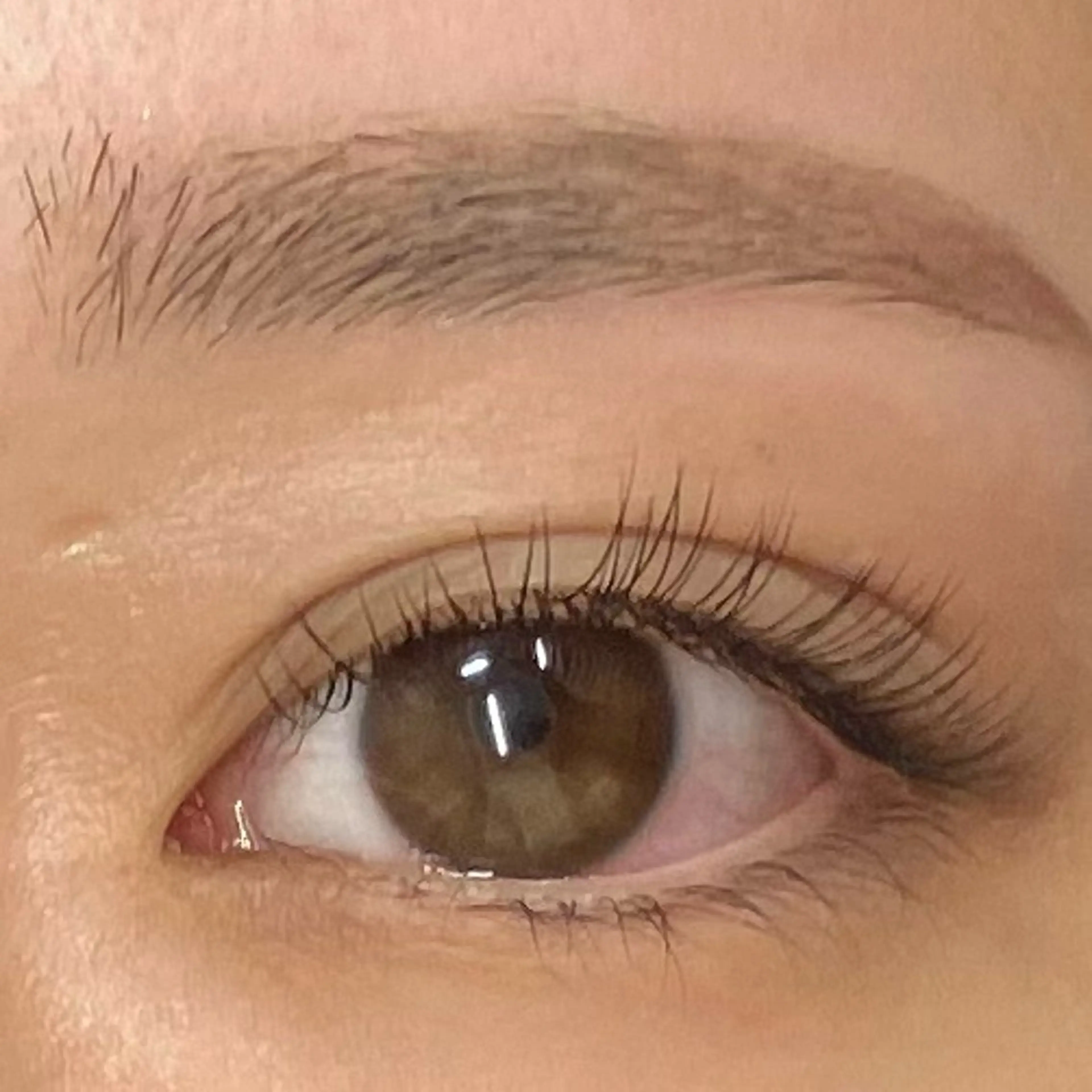 マツエク・マツパ まつげと眉毛のお店Sakura Lash【サクララッシュ】所属・【ダメージケア特化】 🌸 サクララッシュの眉毛・アイブロウイメージ