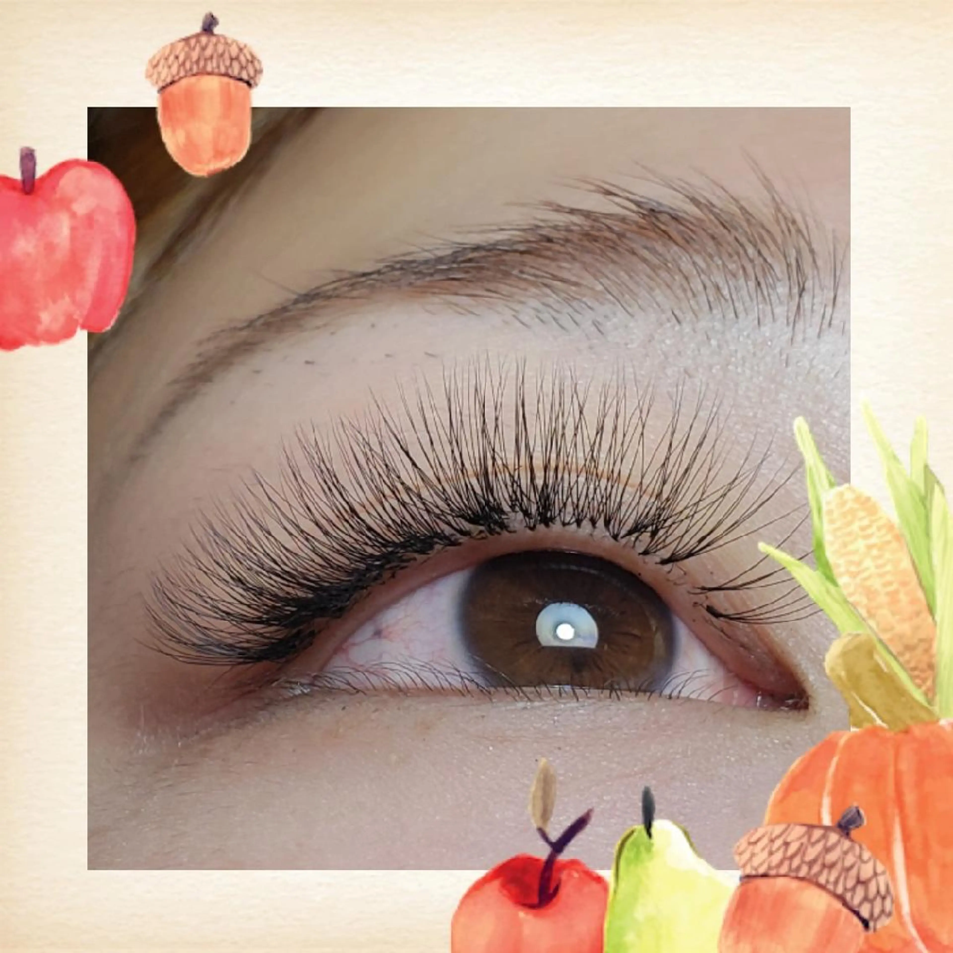 マツエク・マツパ マツエク Rouge ・ K  　のマツエク・マツパデザイン