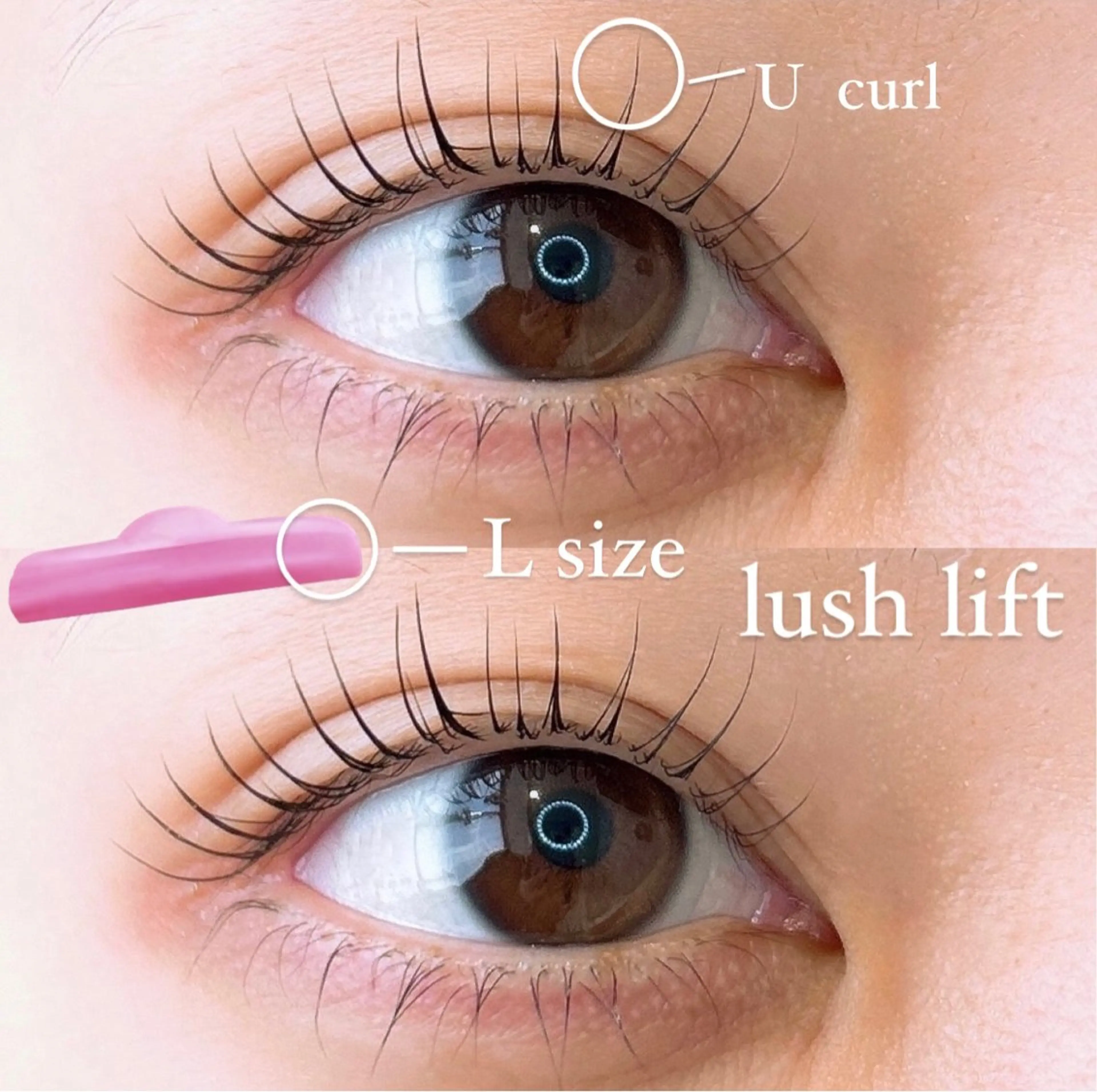 【新規のみ】まつ毛パーマ(デザインは3種類からお選びいただけます)の写真