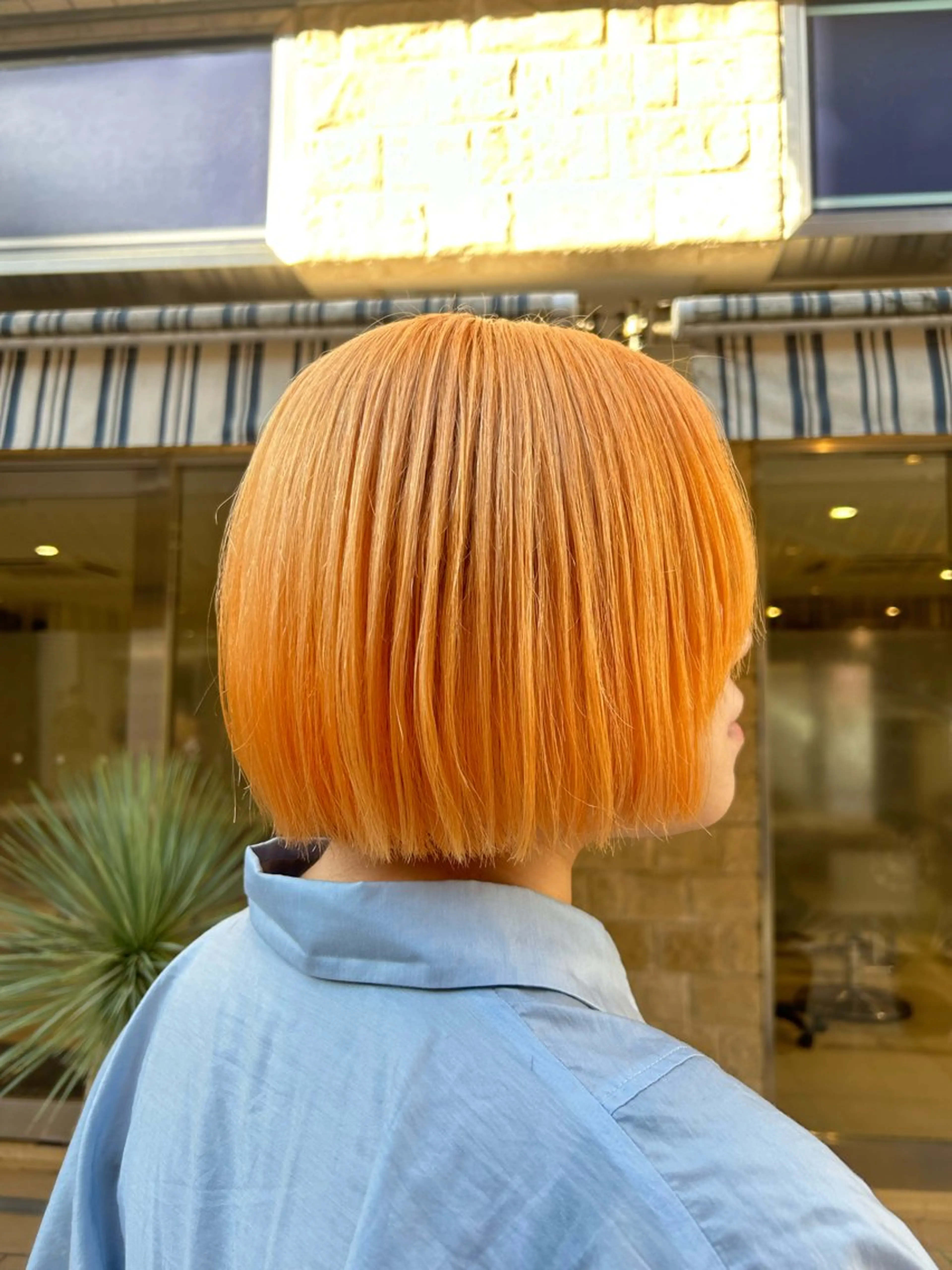 ショート カラー カット ヘアカラー トリートメント 🦖ミニボブ/ボブ /MOEKA🦕のヘアスタイル