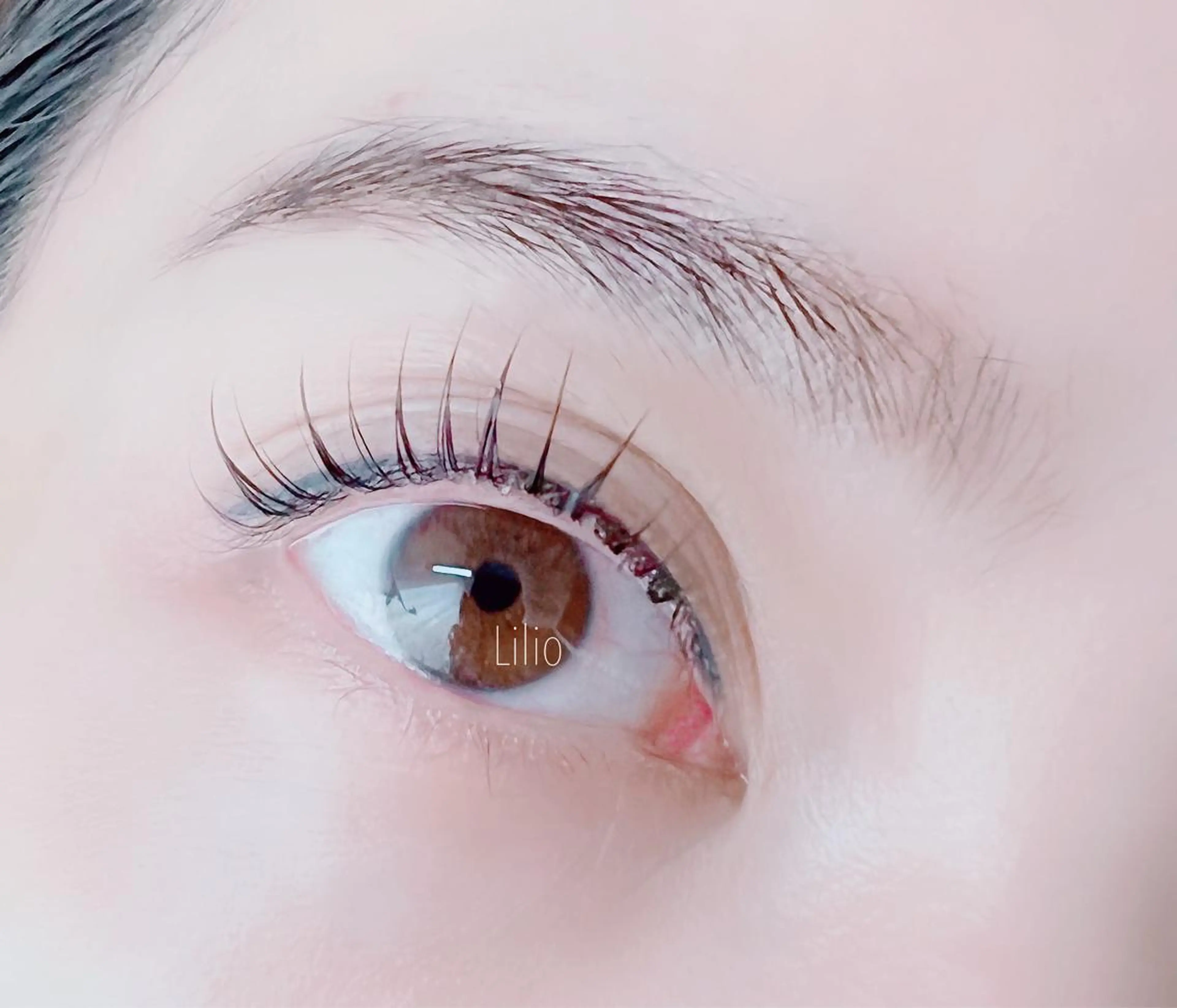 マツエク・マツパ Lilio Yuriのエステ・リラクイメージ