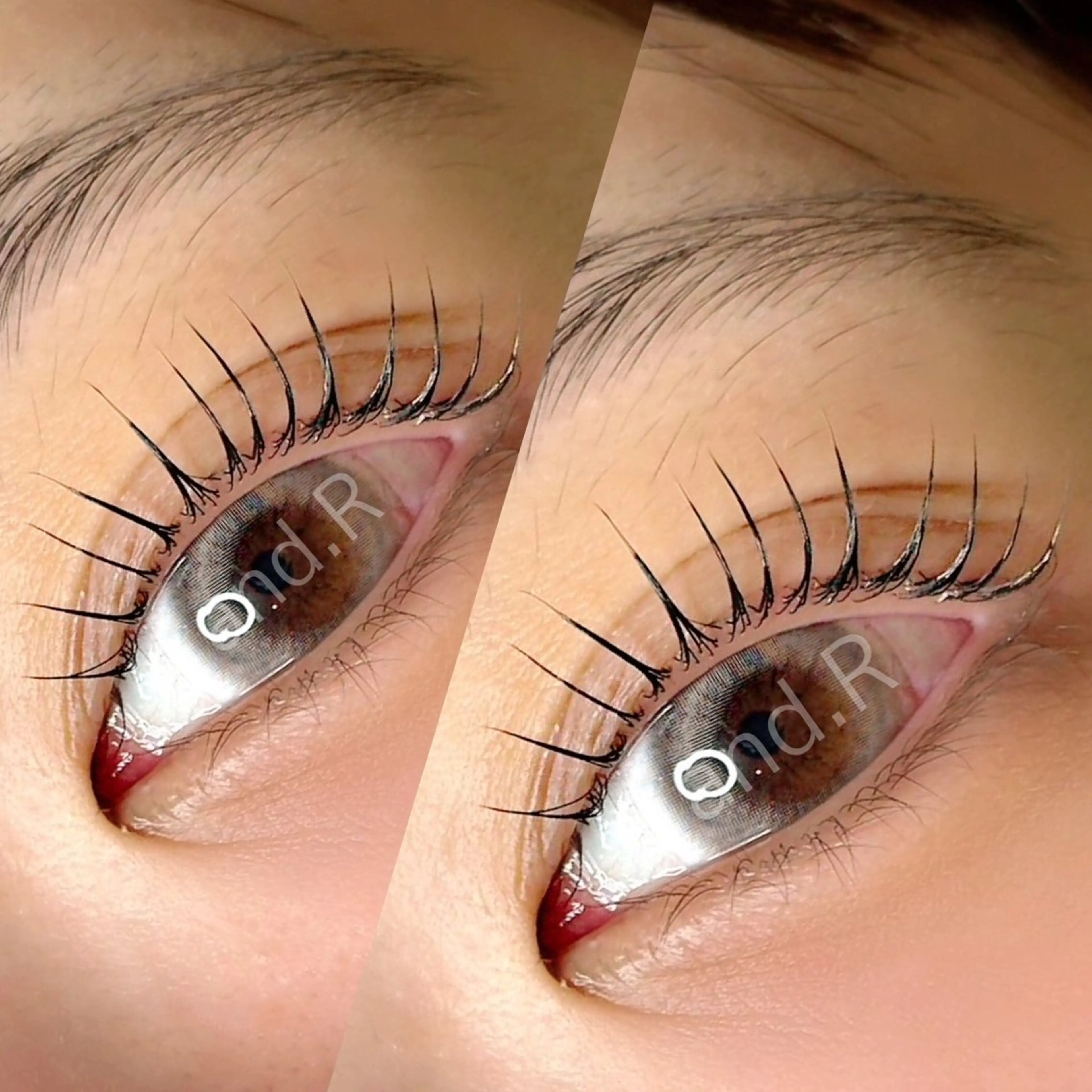 🌟当日限定🌟ラッシュリフトカール/トリートメント&コーティング仕上げ付き♪の写真