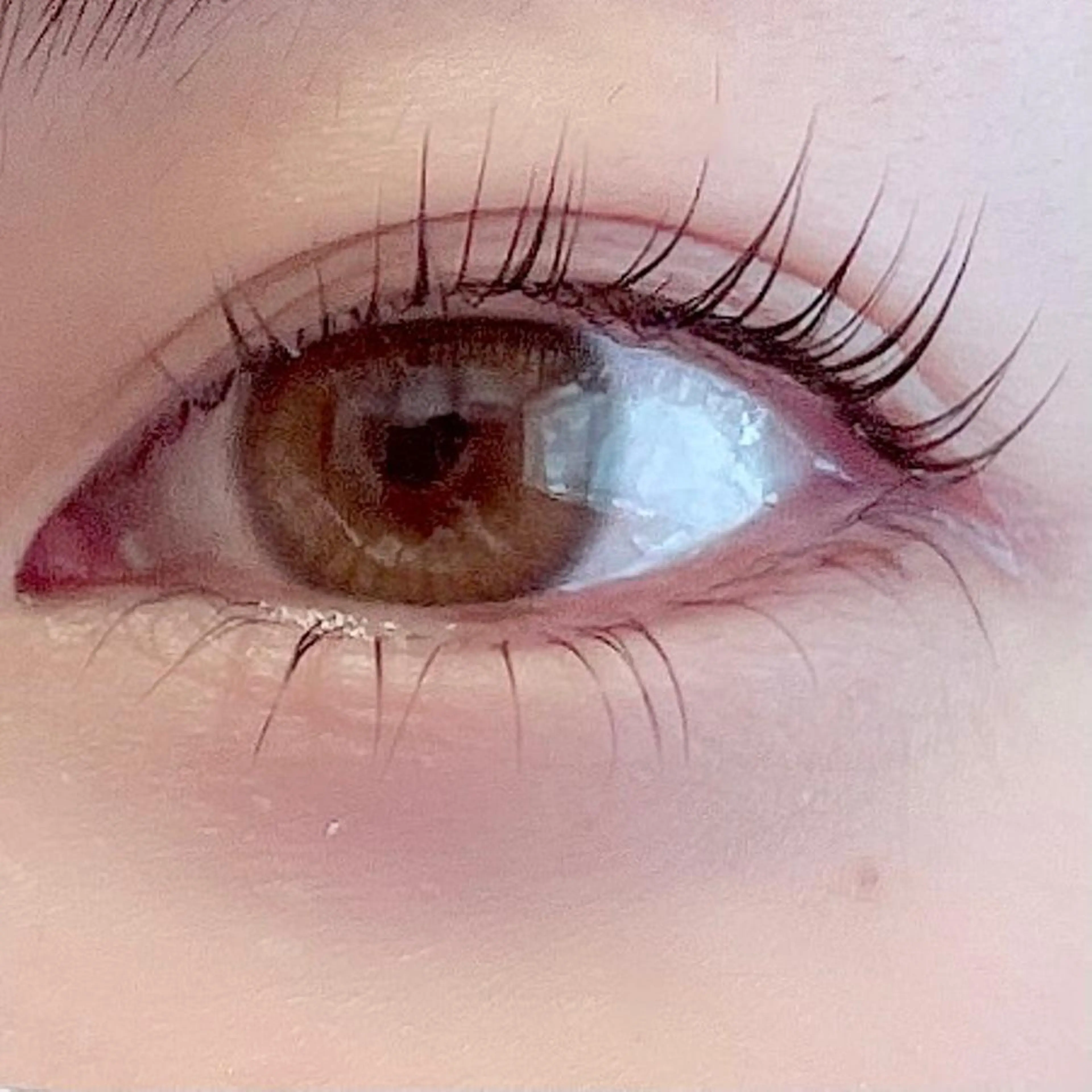 ラッシュリフト【上下】の写真