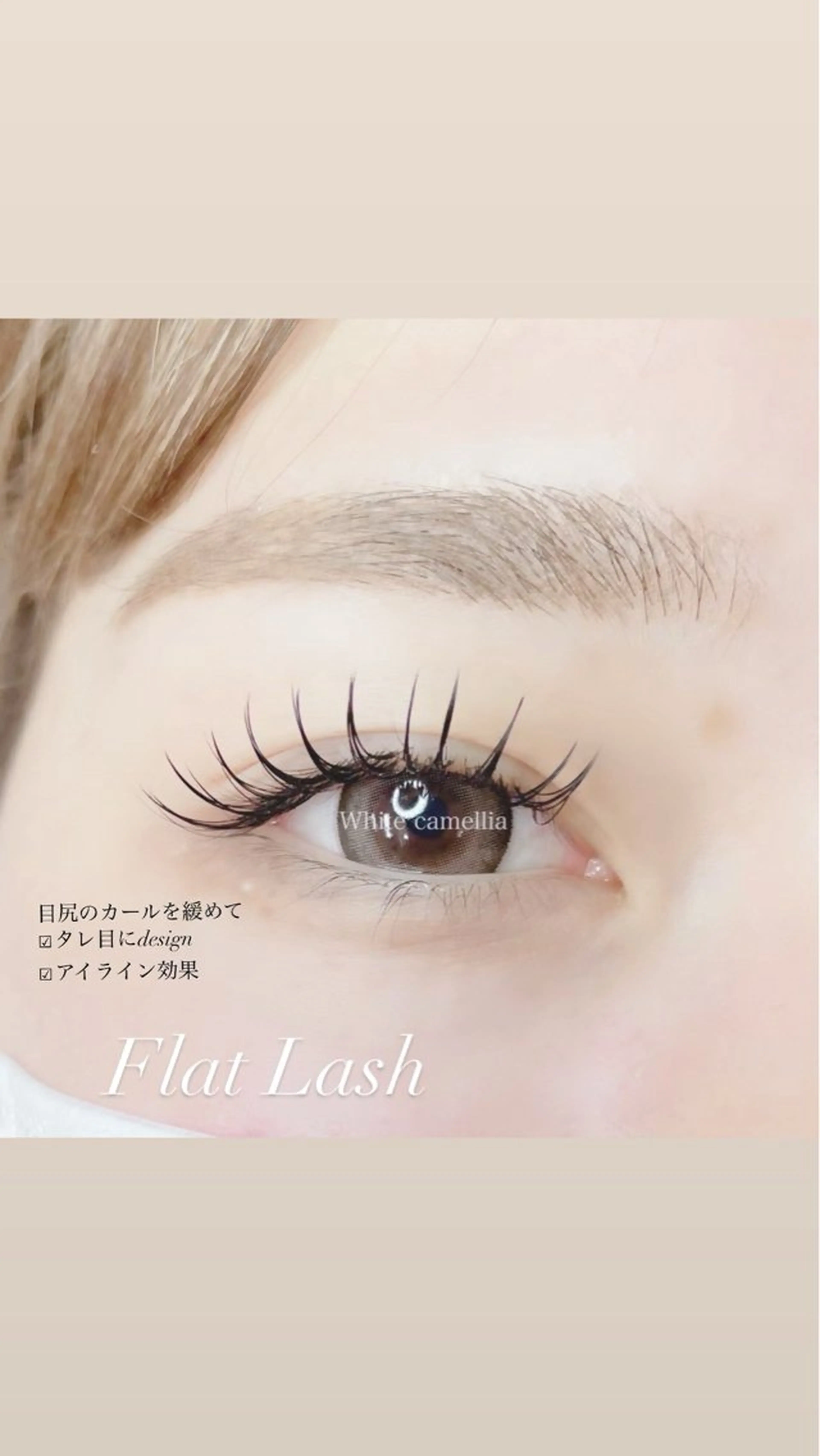 【マツエク】ナチュラル韓国束感  プレミアムフラットラッシュ120本  ⚠️現金払いのみの写真