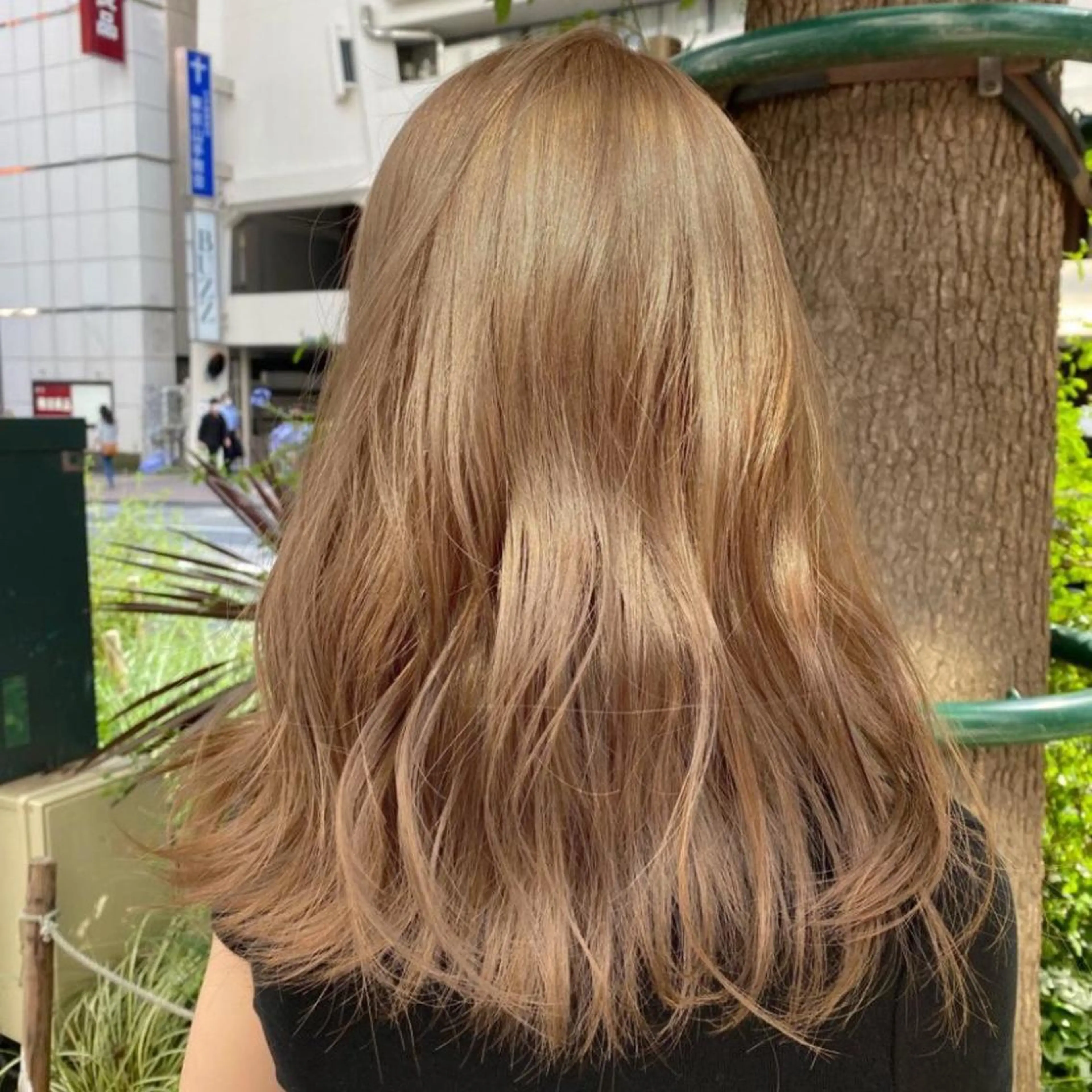 ロング 韓国レイヤー/透明感 カラー🦋mioのヘアスタイル