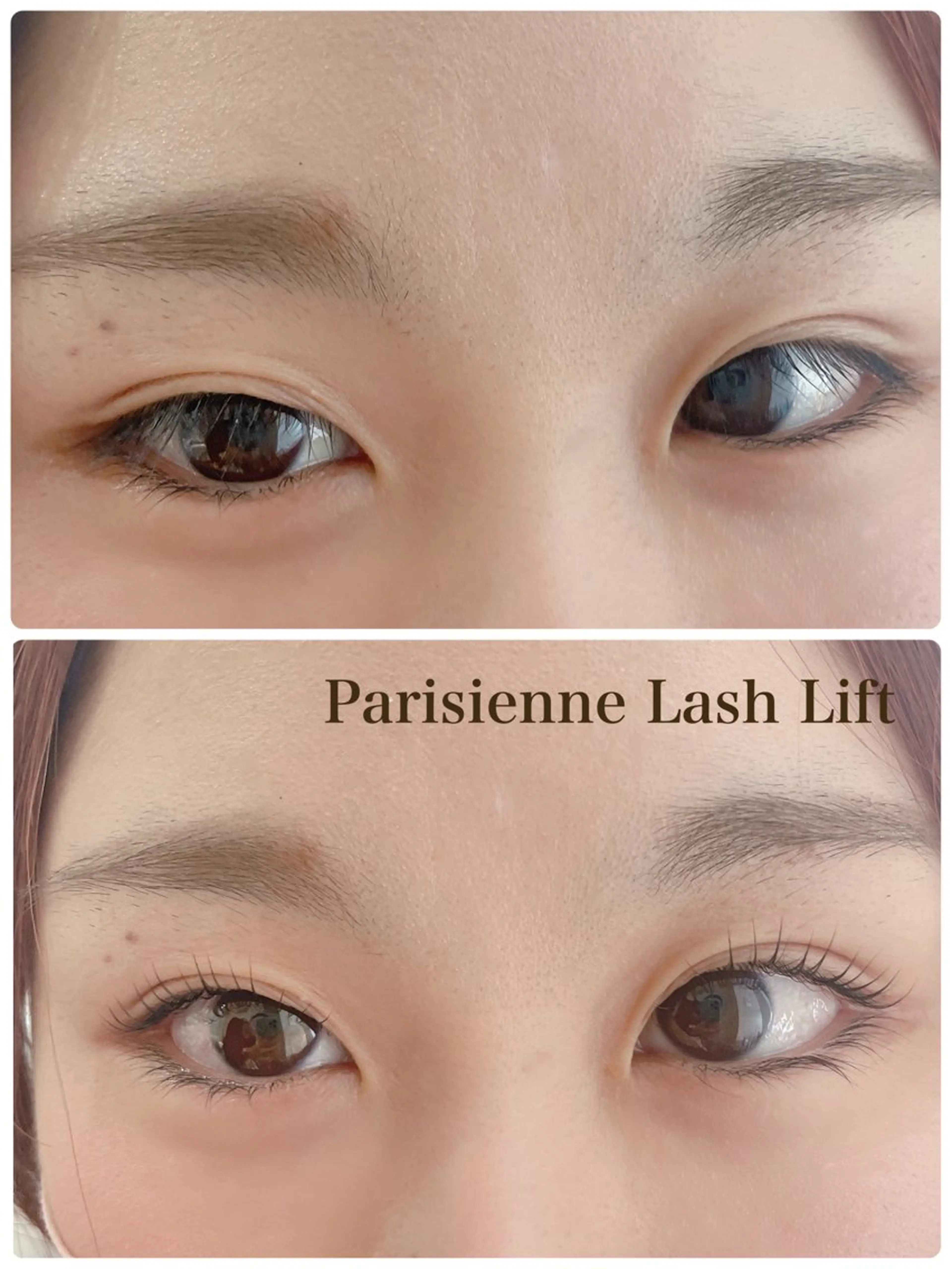 マツエク・マツパ Shucre豊田店 🤍Koharuのマツエク・マツパデザイン