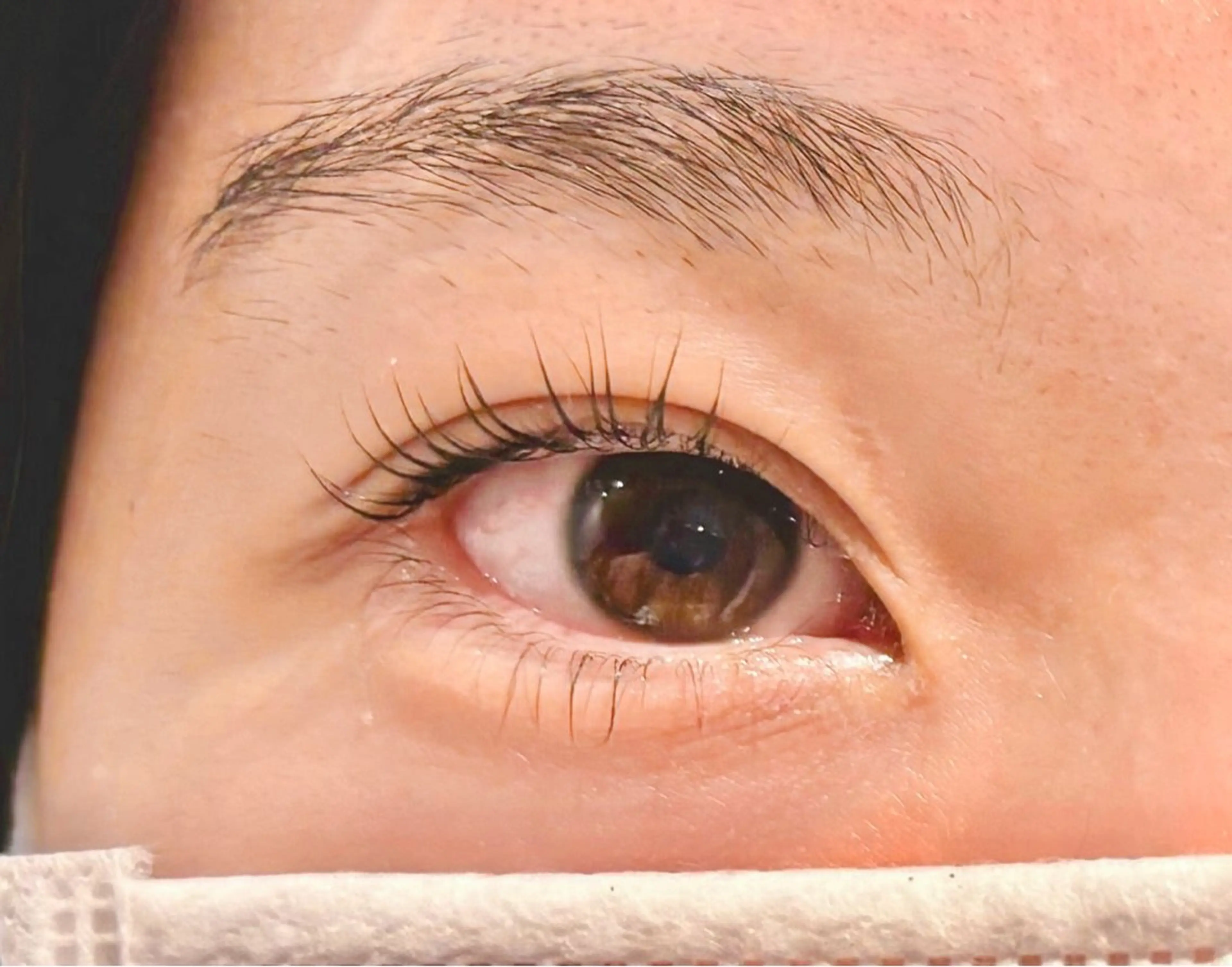 パリジェンヌラッシュリフト(上下)の写真