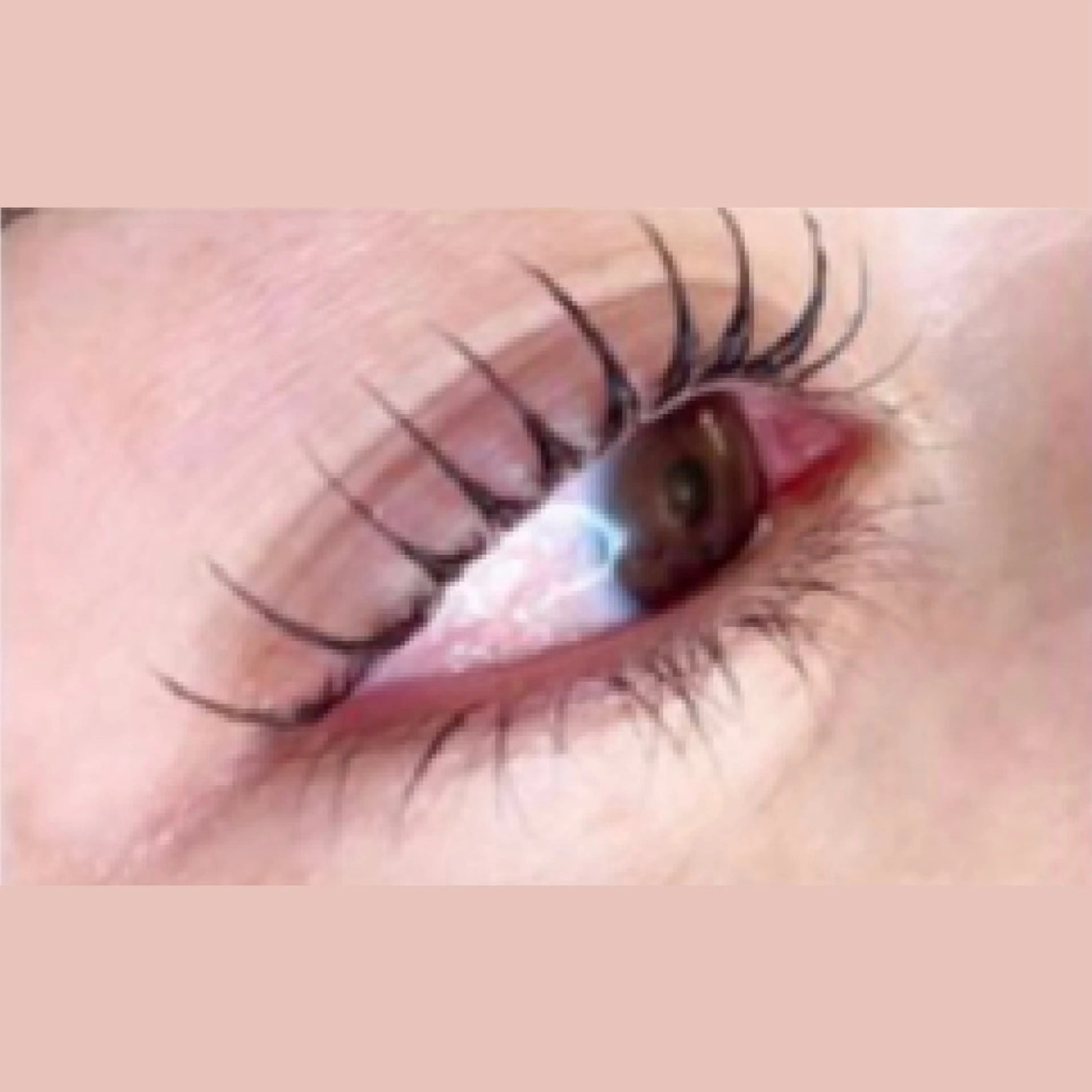 【まつげパーマ⭐️立ち上げ×弱カール】フェアリーテール+🌸ミニモ限定🌸束感仕上げ ¥3480の写真