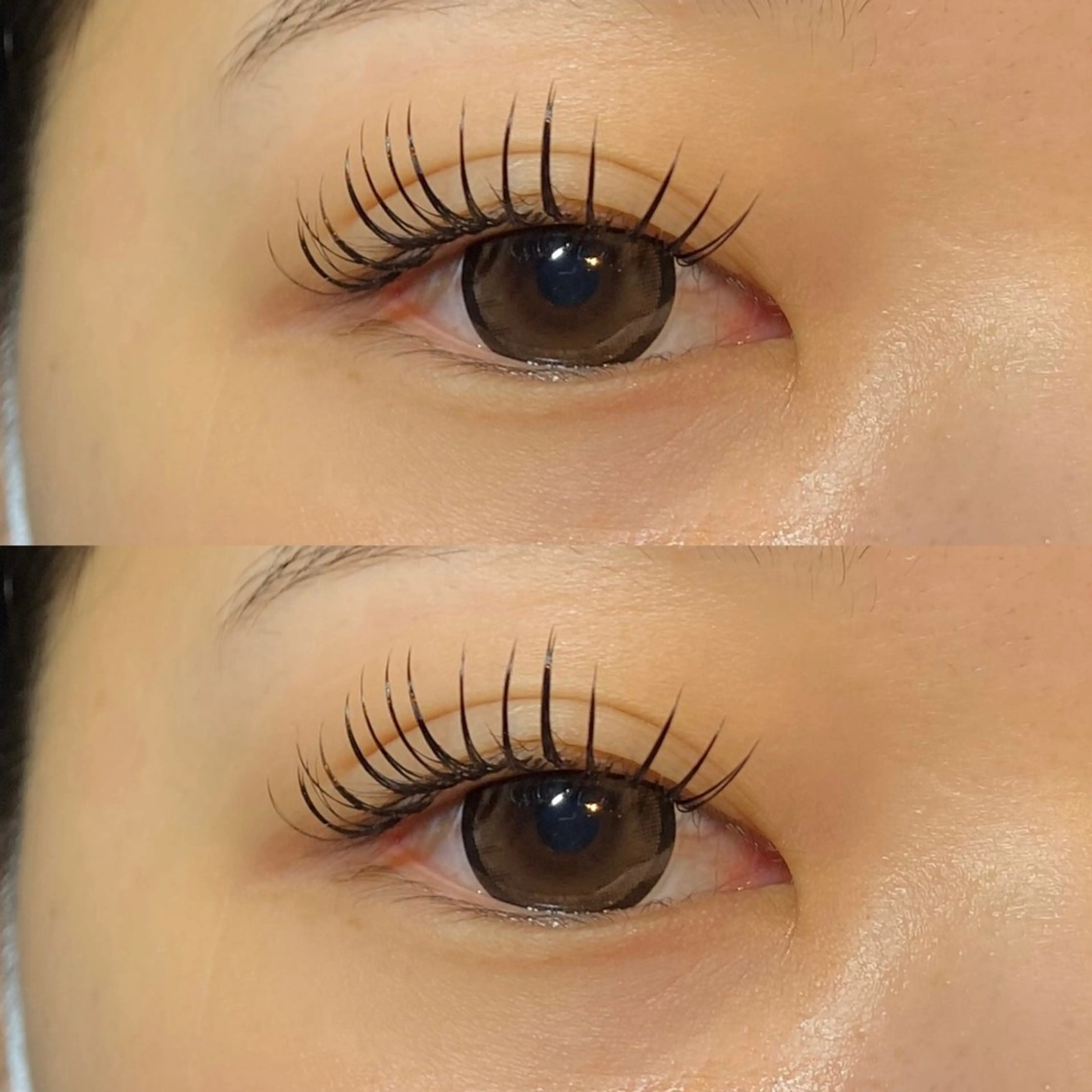 バインドロック80​〜​100束の写真