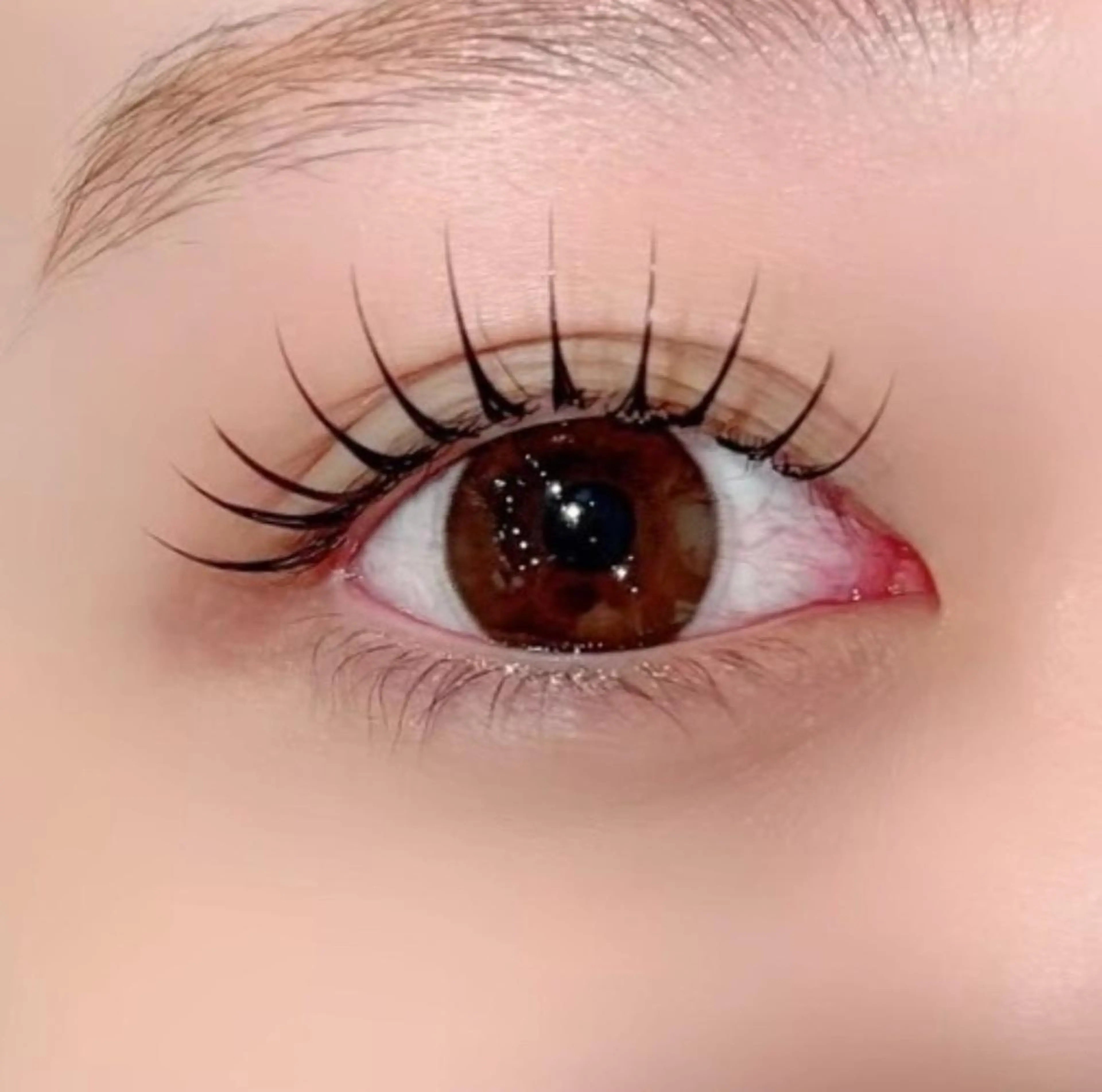 【4/10以降限定】LEDフラットラッシュ80本まで✨️の写真