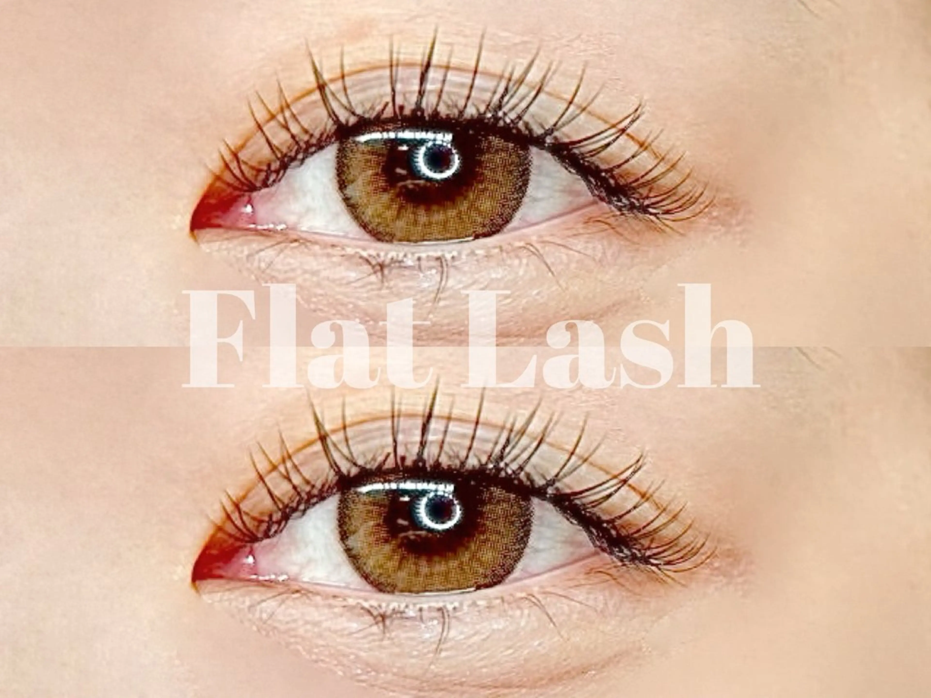 マツエク・マツパ Dカール Stella Yukiの眉毛・アイブロウイメージ