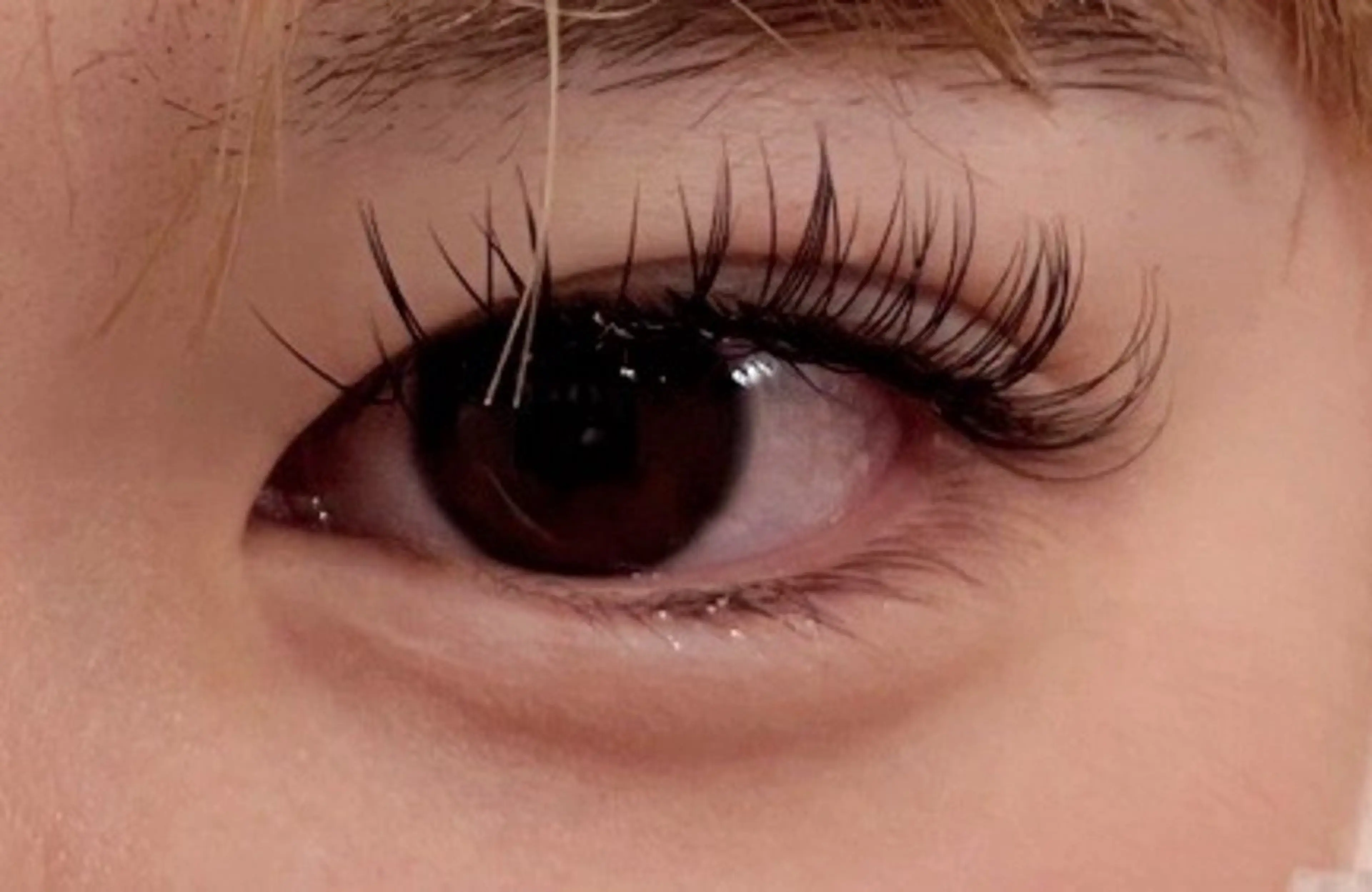 マツエク・マツパ Cカール セーブル 橘本 芳子のマツエク・マツパデザイン