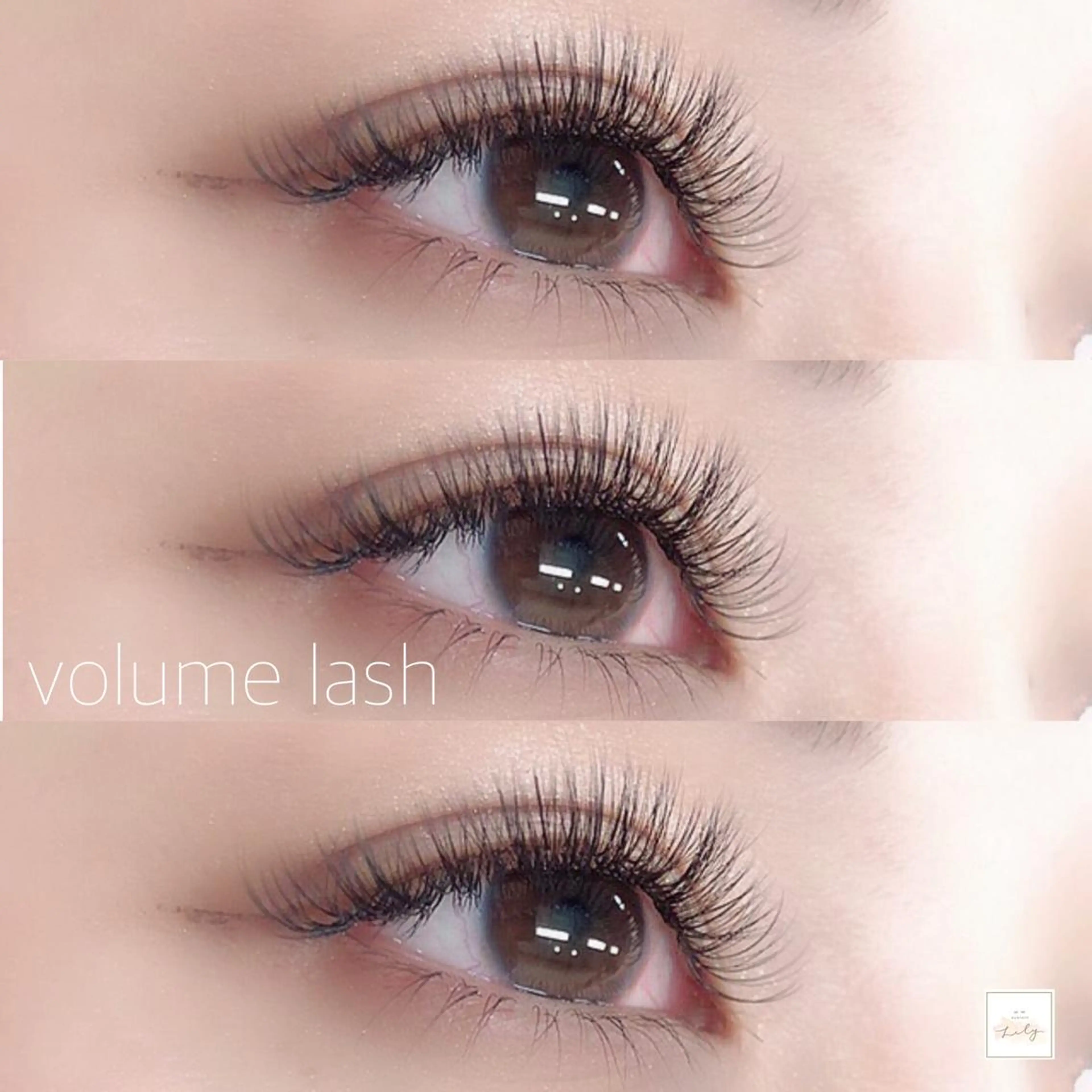 マツエク・マツパ ボリュームラッシュ eyelash Lily所属・eyelash Lilyのその他イメージ