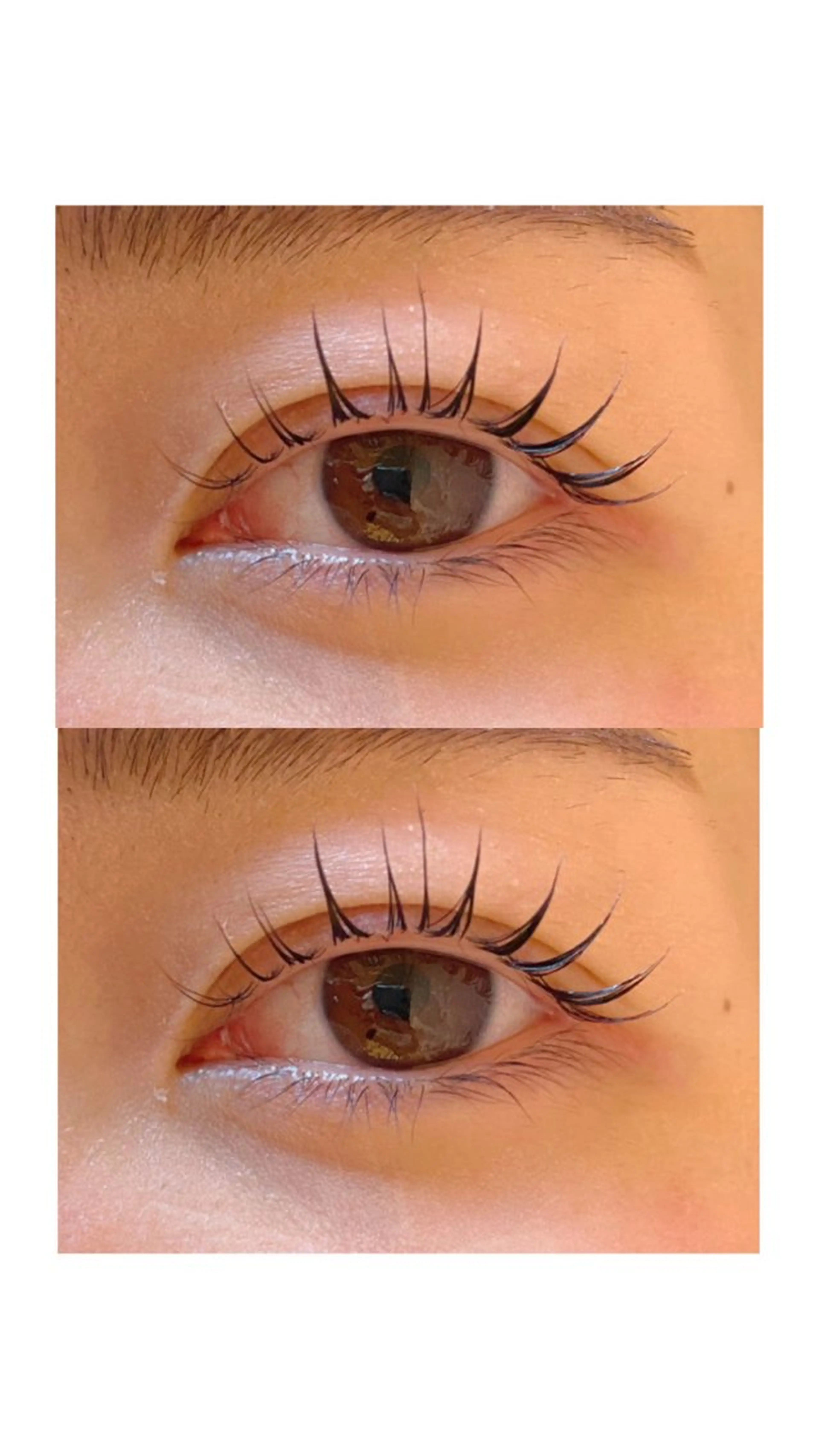 マツエク・マツパ 束感まつ毛 韓国風マツエク マツパ Jessica 清水🎀✨のエステ・リラクイメージ