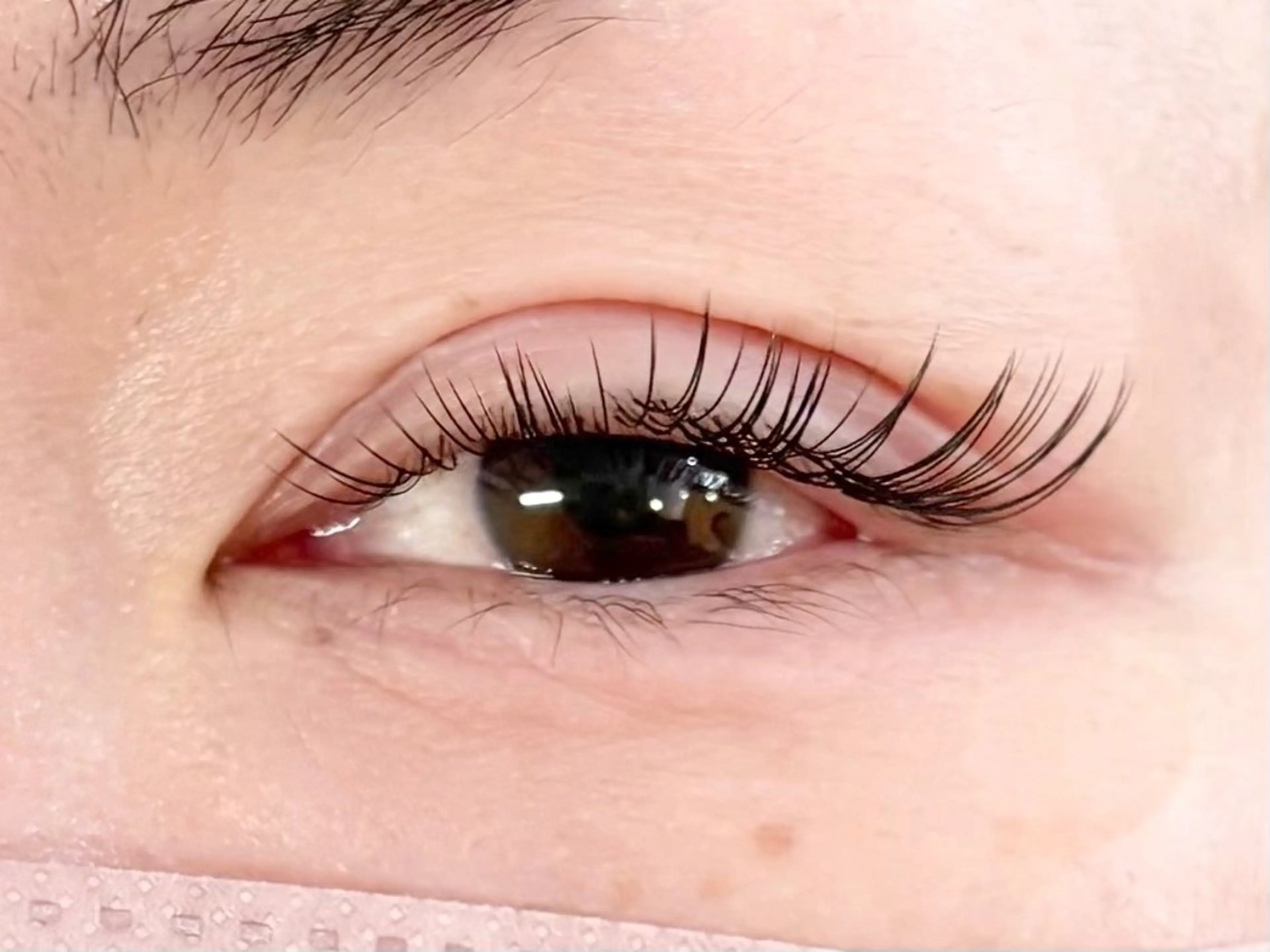 マツエク・マツパ フラットラッシュ マツエク アイラッシュサロン【エフドゥ】所属・中村彩香 (エフドゥ)のマツエク・マツパデザイン