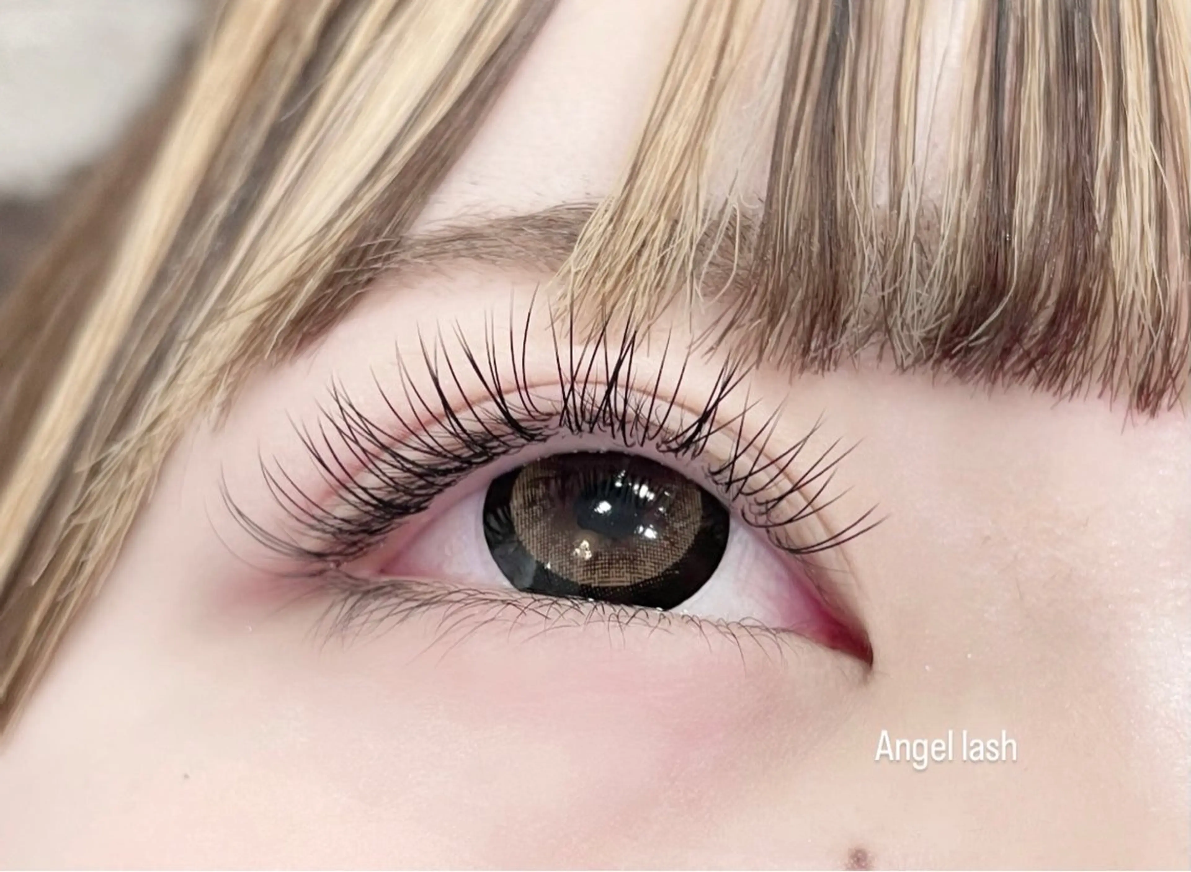 マツエク・マツパ Angel lash kanekoのマツエク・マツパデザイン