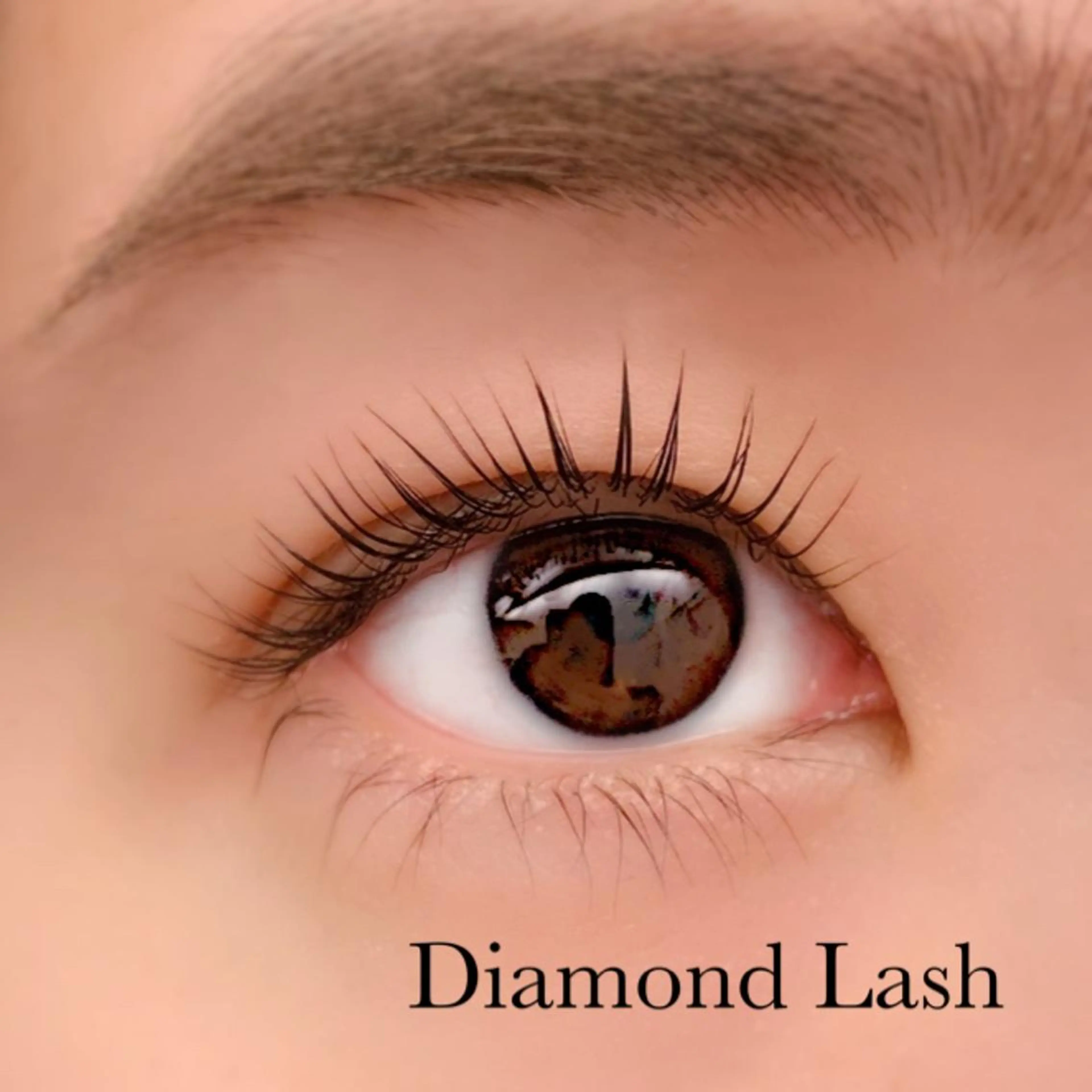 マツエク・マツパ DL・BEAUT 表参道の眉毛・アイブロウイメージ