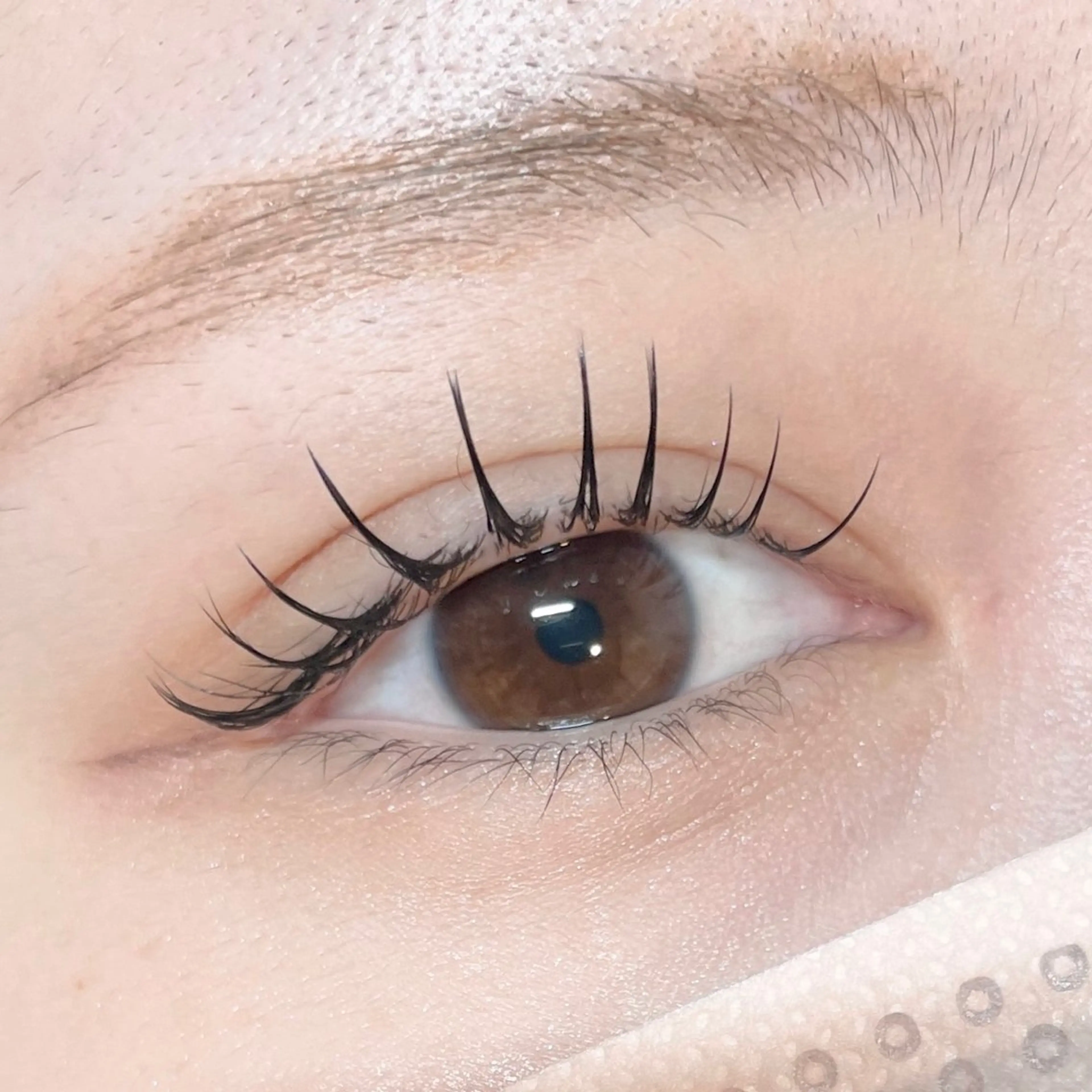 マツエク/フラットラッシュ　100本の写真