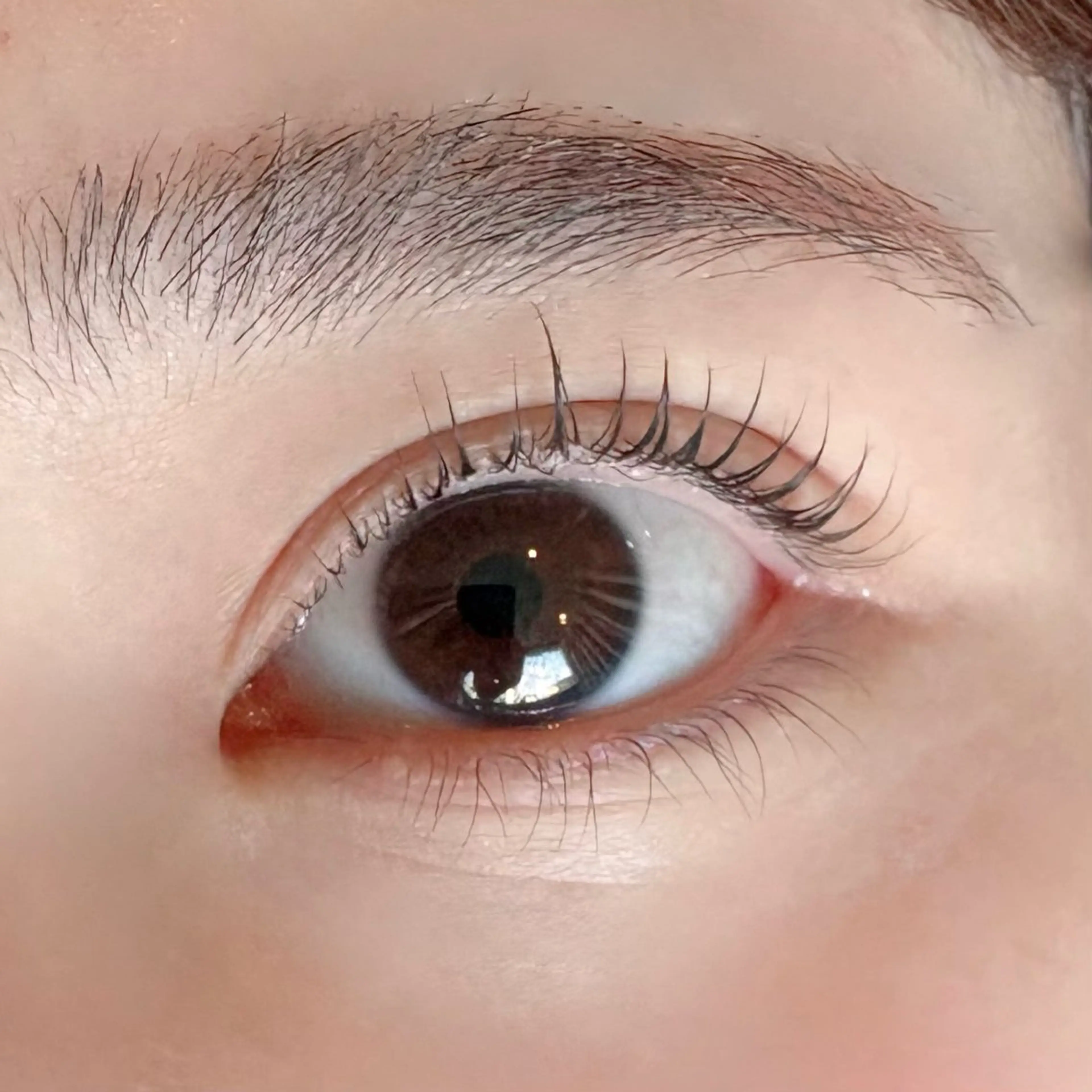 マツエク・マツパ Stella Naoのマツエク・マツパデザイン