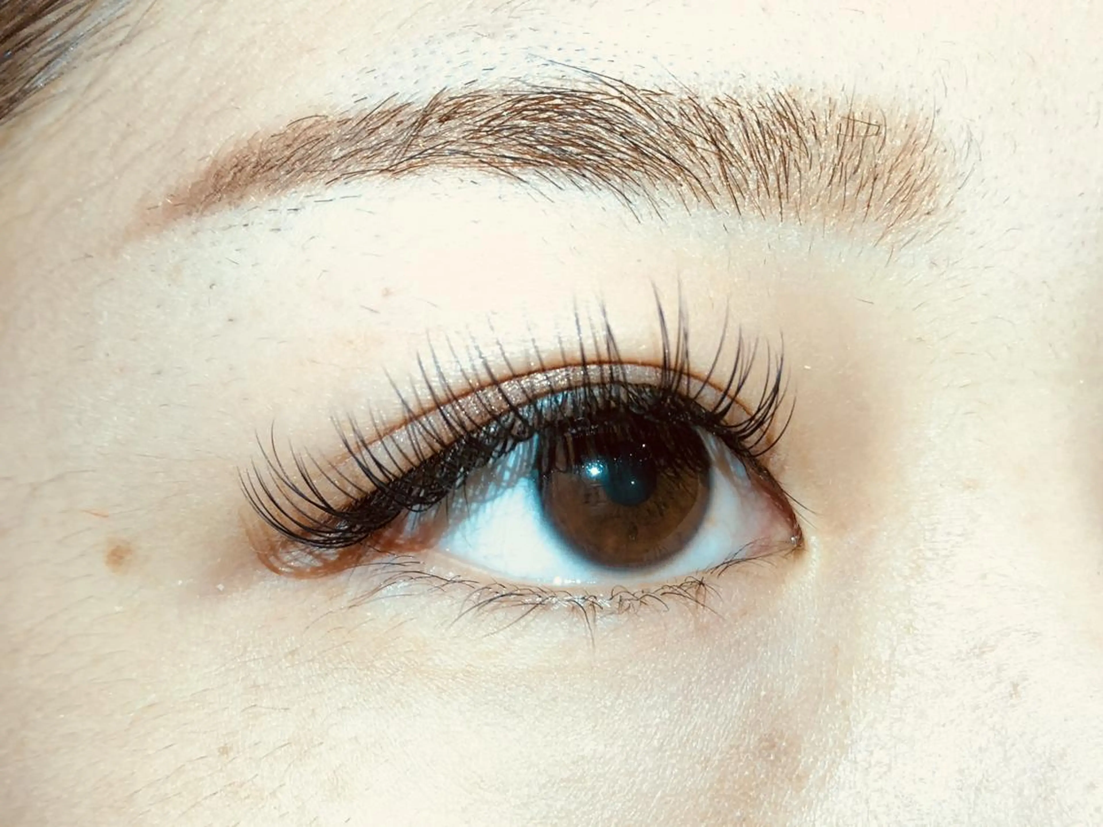 マツエク・マツパ Dカール セーブル マツエク ARIZ アリズのマツエク・マツパデザイン