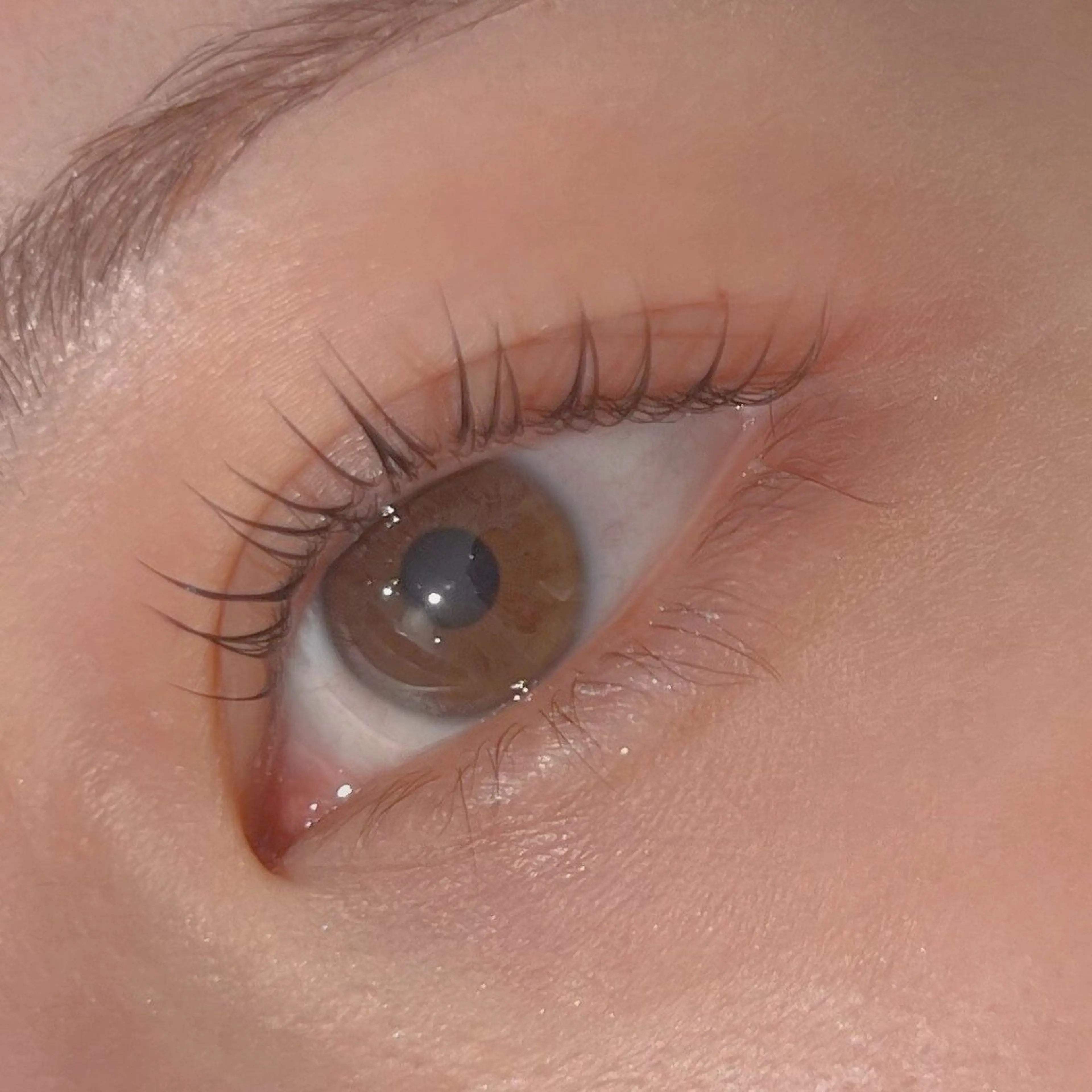 まつげパーマ🤍束感コーティング仕上げの写真