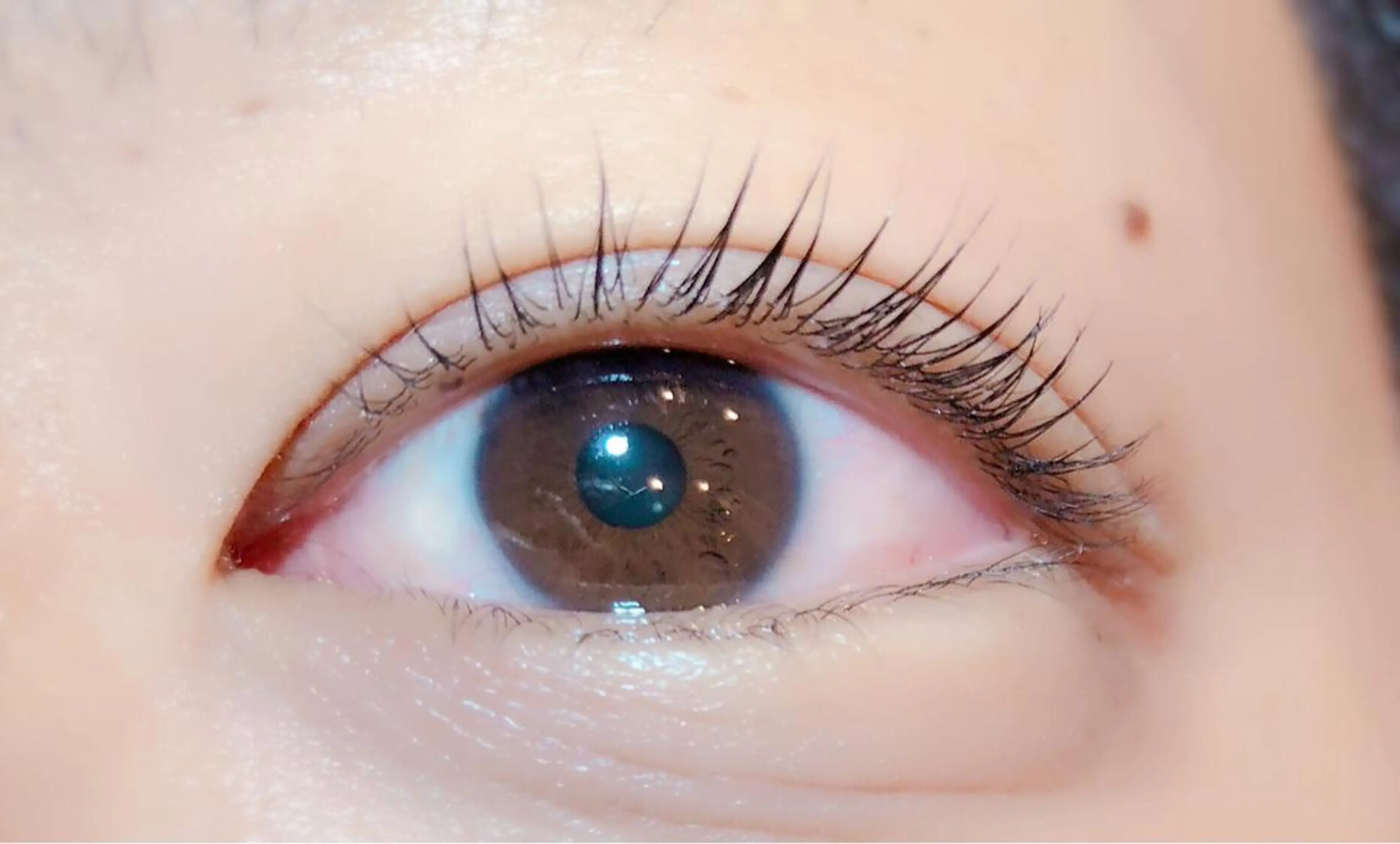 マツエク・マツパ Dazzling Bのマツエク・マツパデザイン