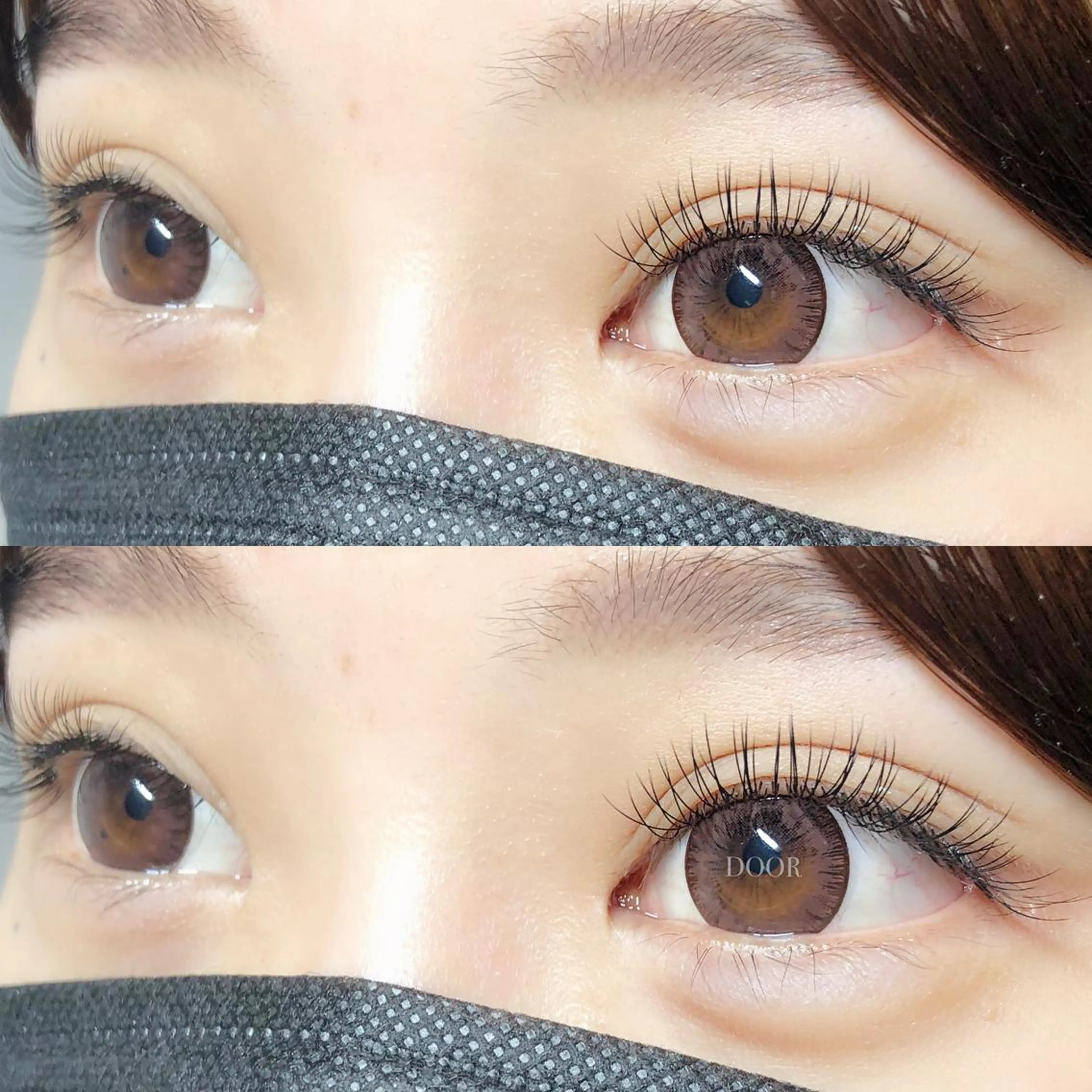 🦋 フラットラッシュ 100本 🦋の写真