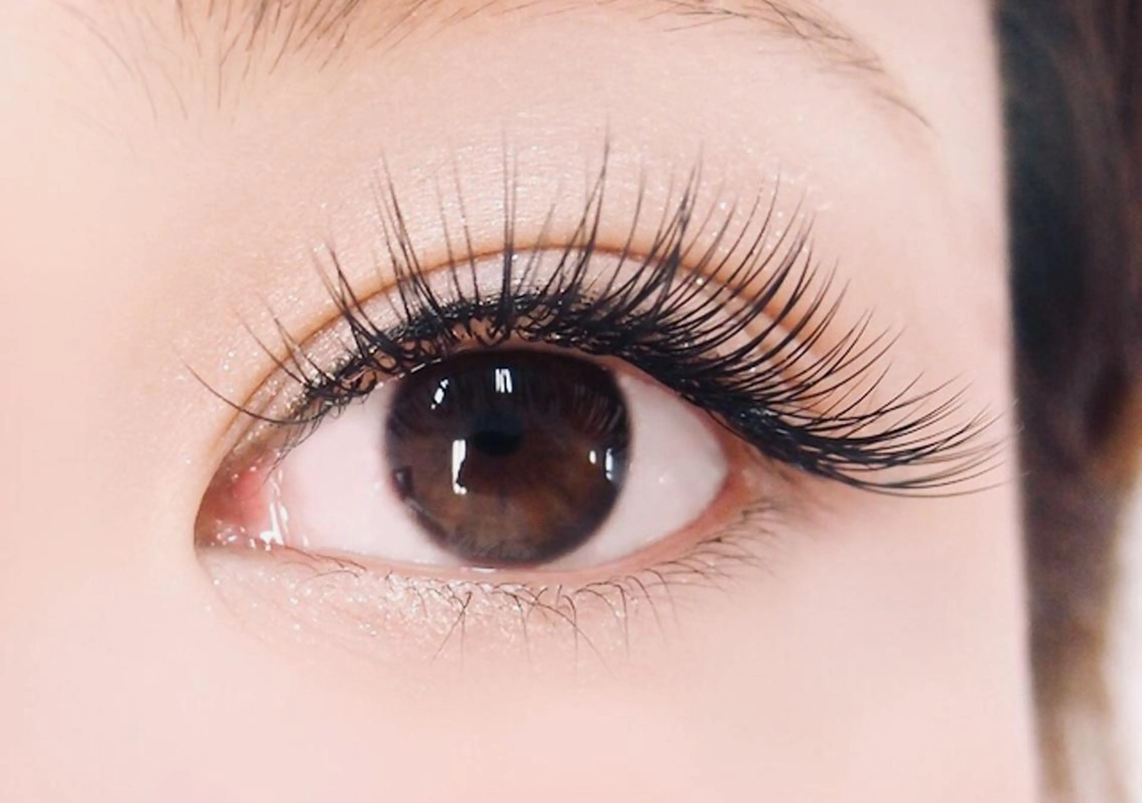 【EYELASH☆全員】3D/4Dボリュームラッシュエクステ60~80束の写真